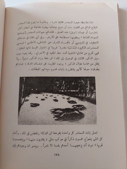 عالم الليل / لوري ج ميلان ومارجرى ج ميلان - طبعة ١٩٦٢