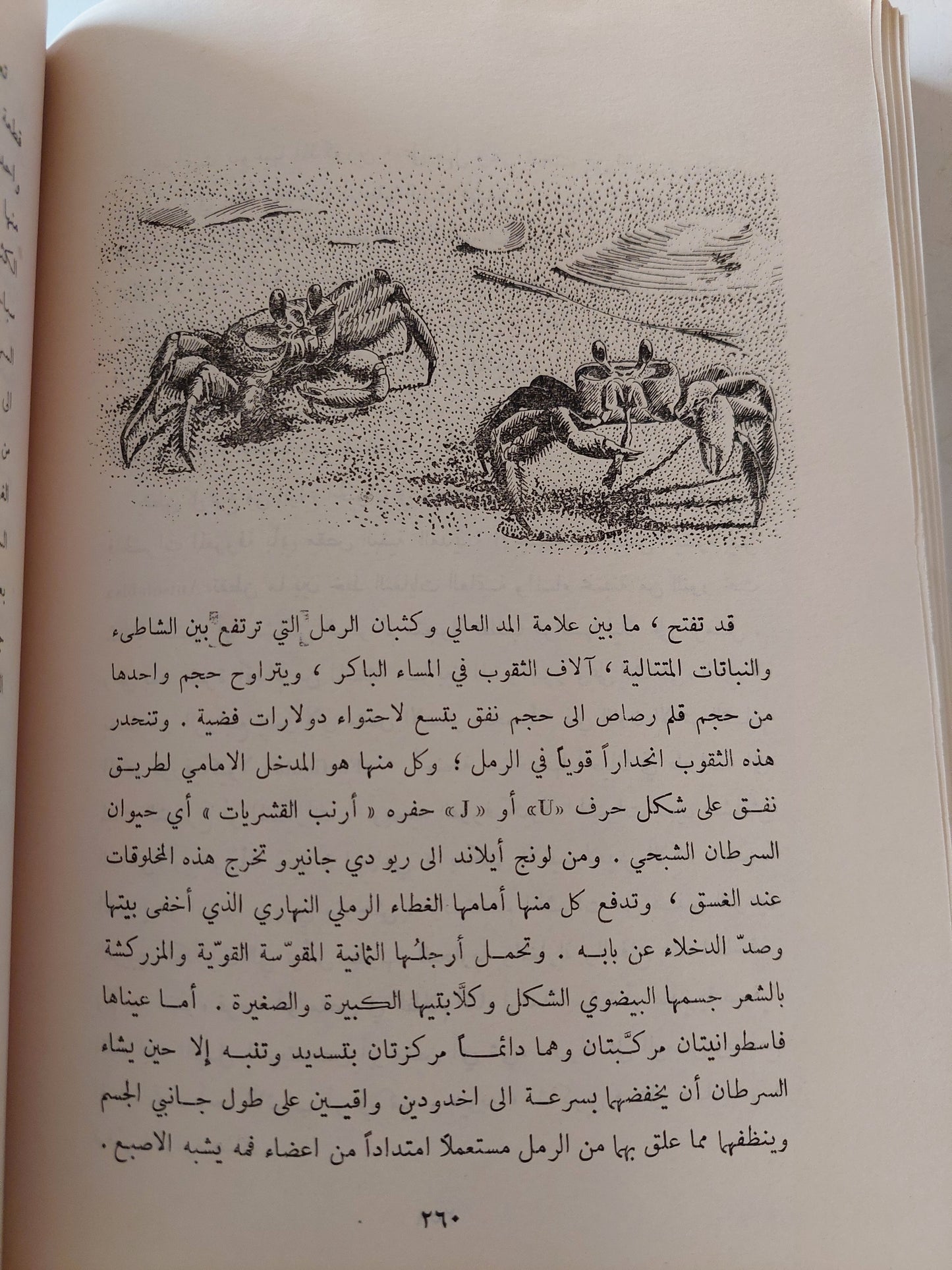 عالم الليل / لوري ج ميلان ومارجرى ج ميلان - طبعة ١٩٦٢