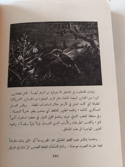 عالم الليل / لوري ج ميلان ومارجرى ج ميلان - طبعة ١٩٦٢