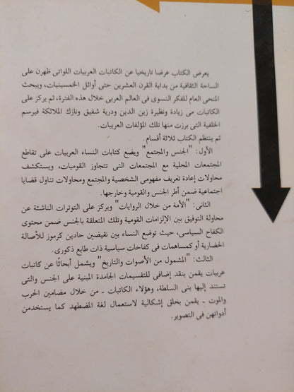 تقاطعات .. الأمة والجنس فى روايات النساء العربيات