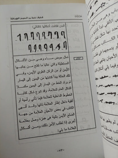 قطوف نصية من النصوص الهيراطية / محمود عبد المنعم الجزار