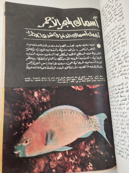 مجلة الهلال .. سبتمبر 1979