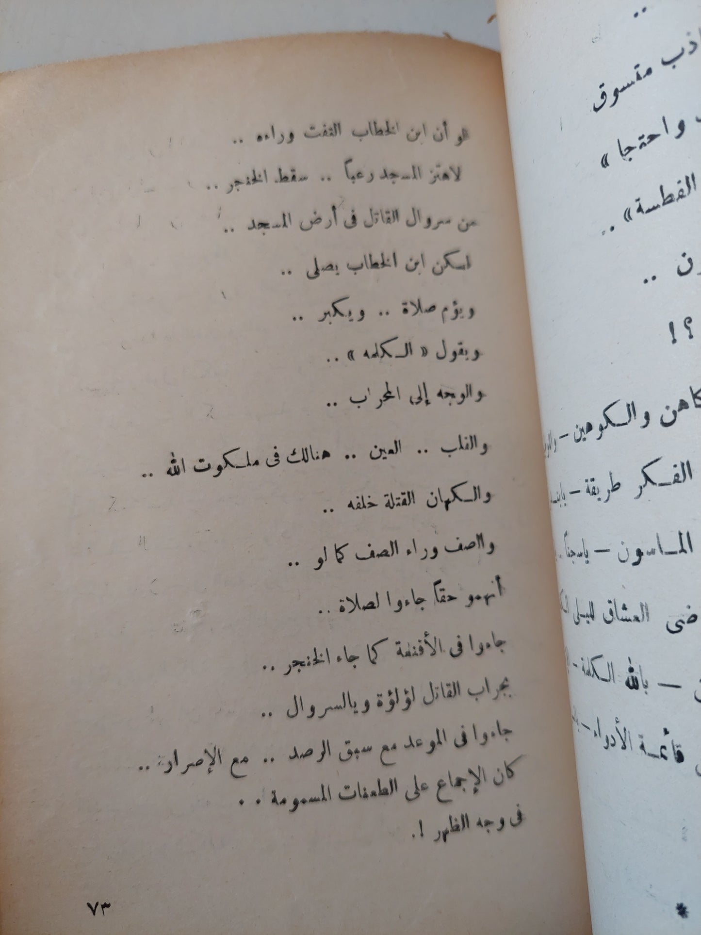 بروتوكولات حكماء ريش / نجيب سرور