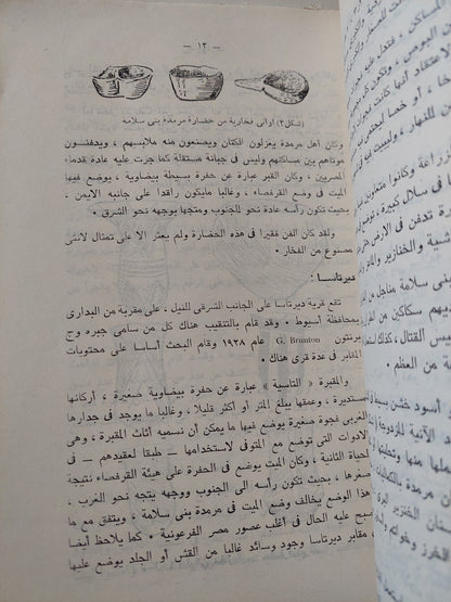 معالم تاريخ حضارة مصر الفرعونية / سيد توفيق - ملحق بالصور