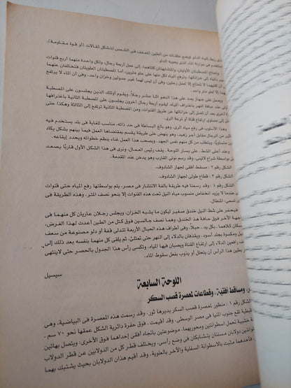 موسوعة وصف مصر .. الجزء الرابع عشر لوحات الدولة الحديثة - قطع كبير ملحق بالصور