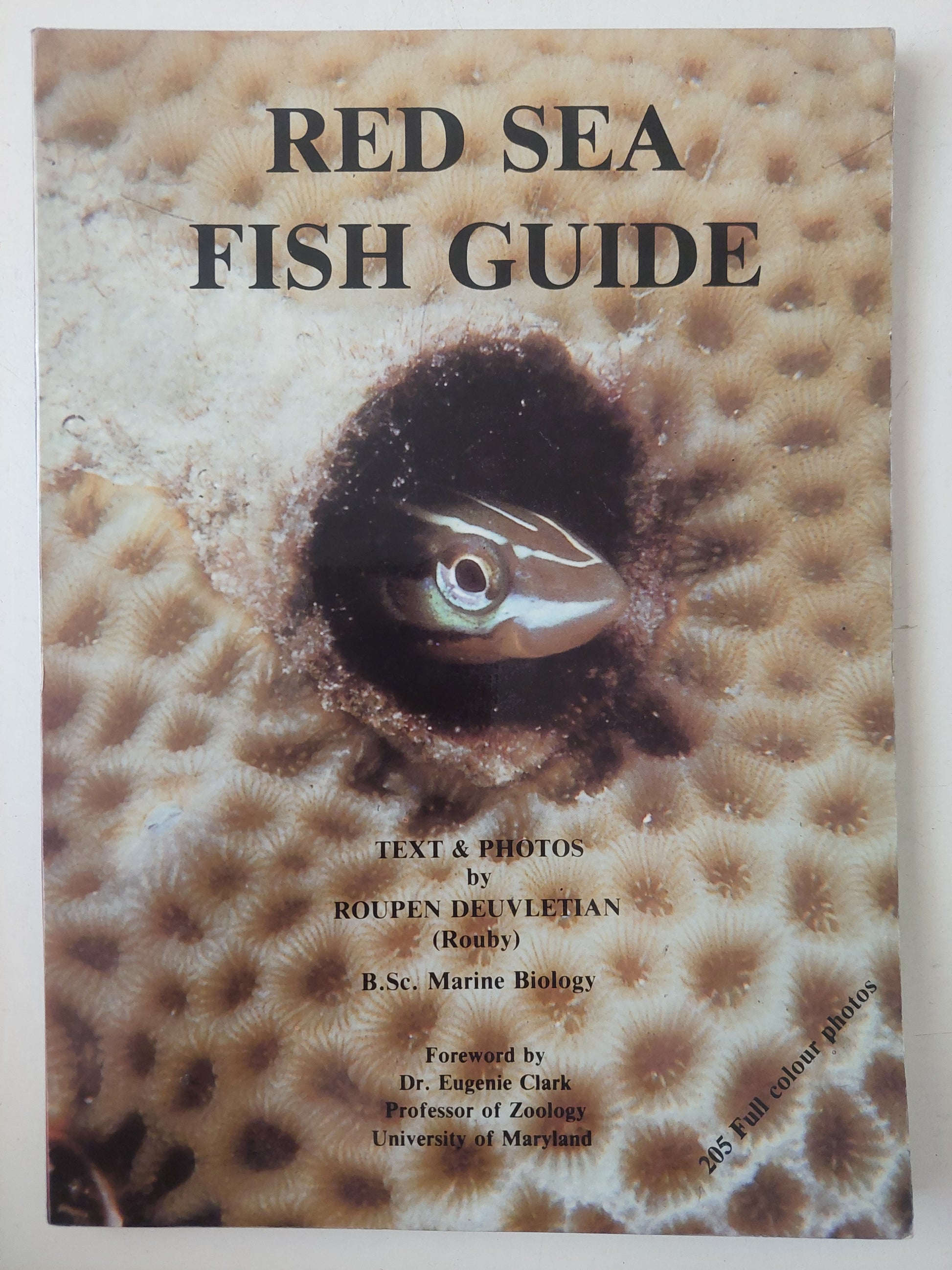 Red Sea Fish Guide - 