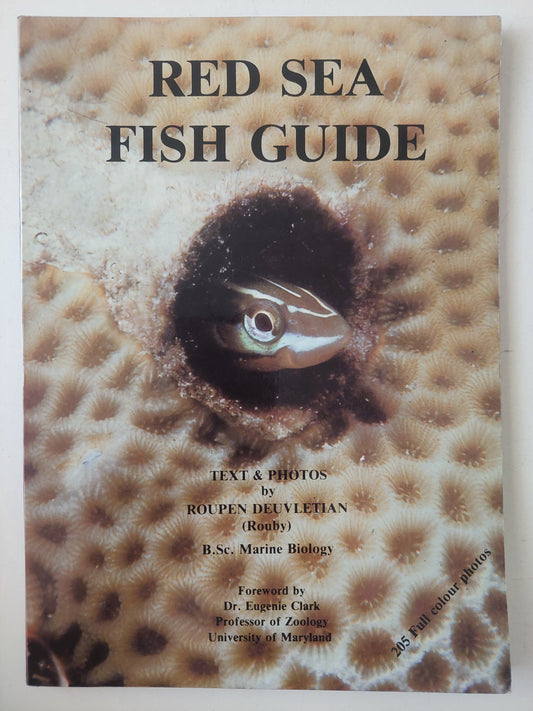 Red Sea Fish Guide - 