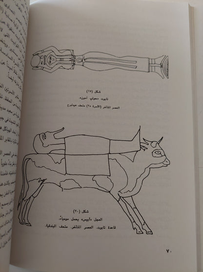 المومياوات المصرية من الأسطورة الى الأشعة السينية / روجيه ليشتنبرج وفرانسواز دونان - جزئين / ملحق بالصور