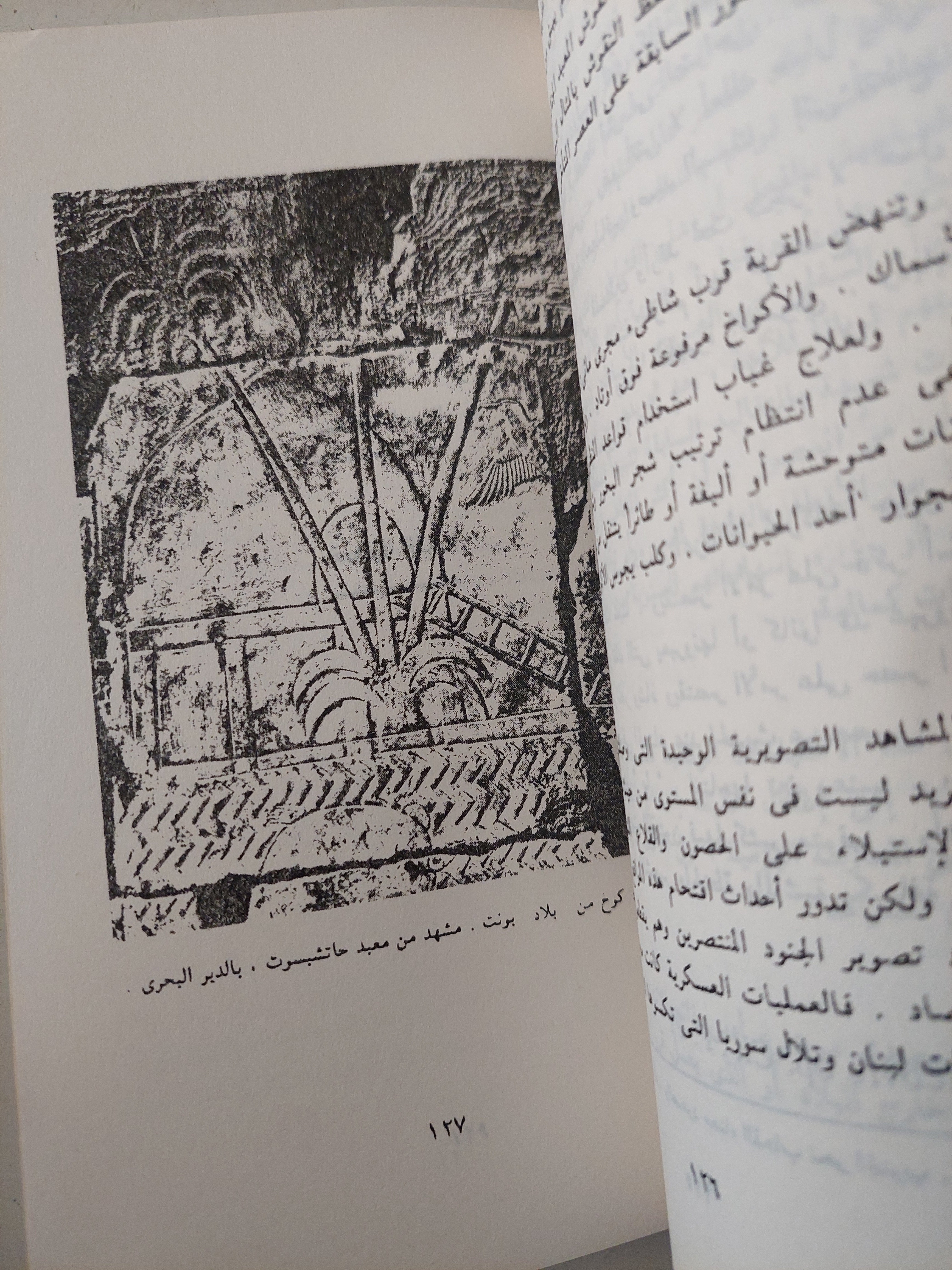 الناس والحياة فى مصر القديمة / دومينيك فالبيل - ملحق بالصور
