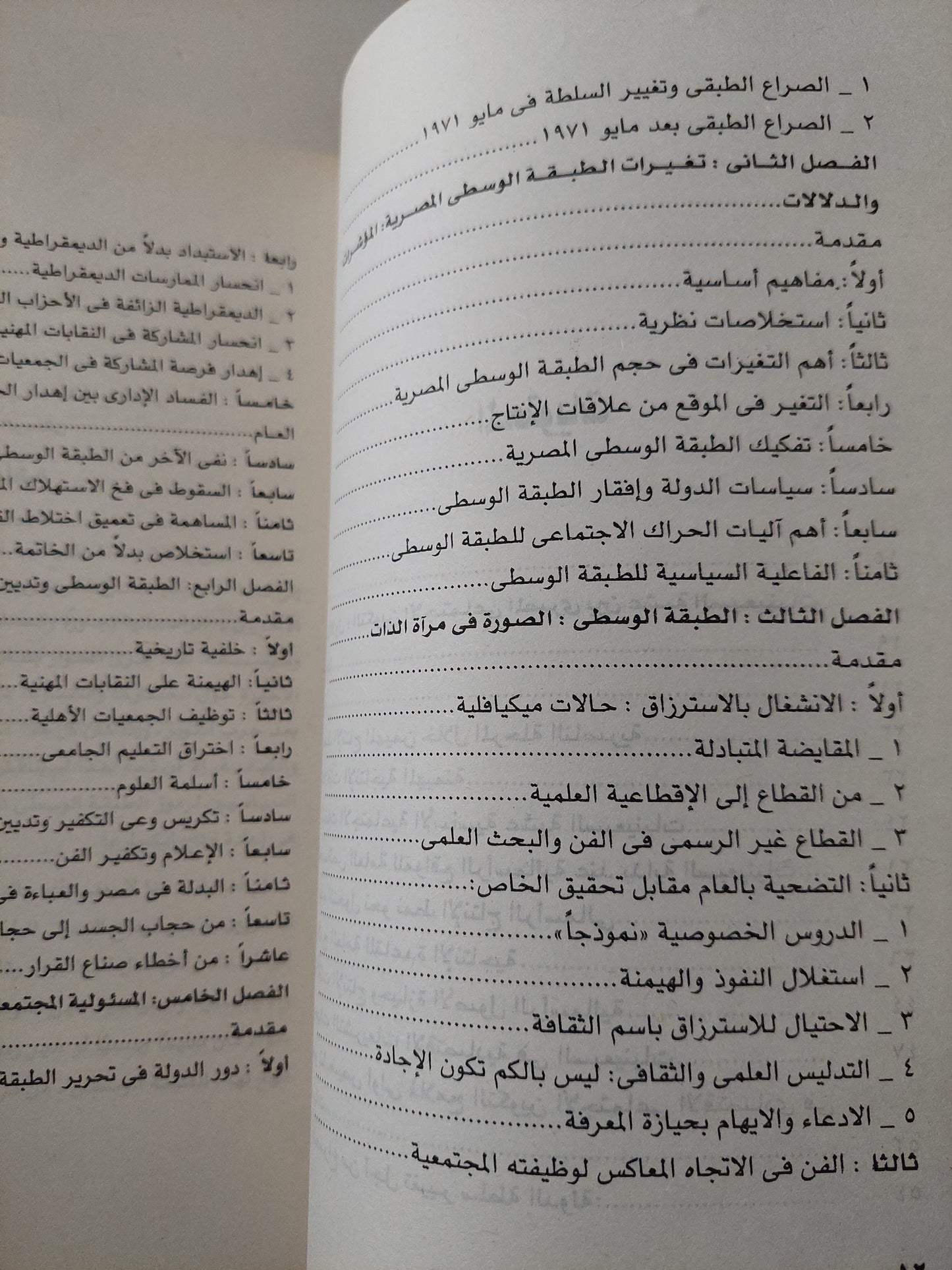 الطبقة الوسطى المصرية .. من التقصير إلى التحرير / عبد الباسط عبد المعطى