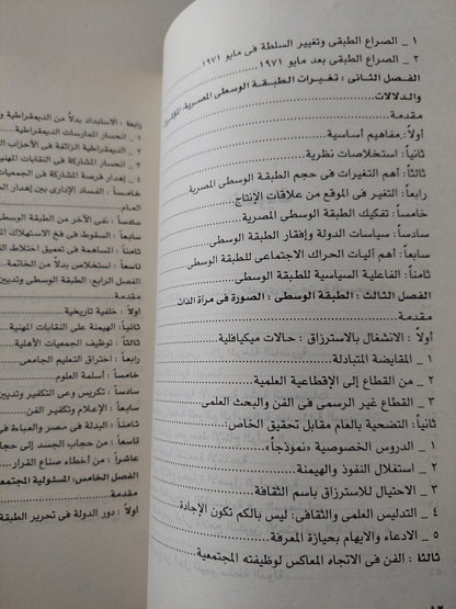 الطبقة الوسطى المصرية .. من التقصير إلى التحرير / عبد الباسط عبد المعطى