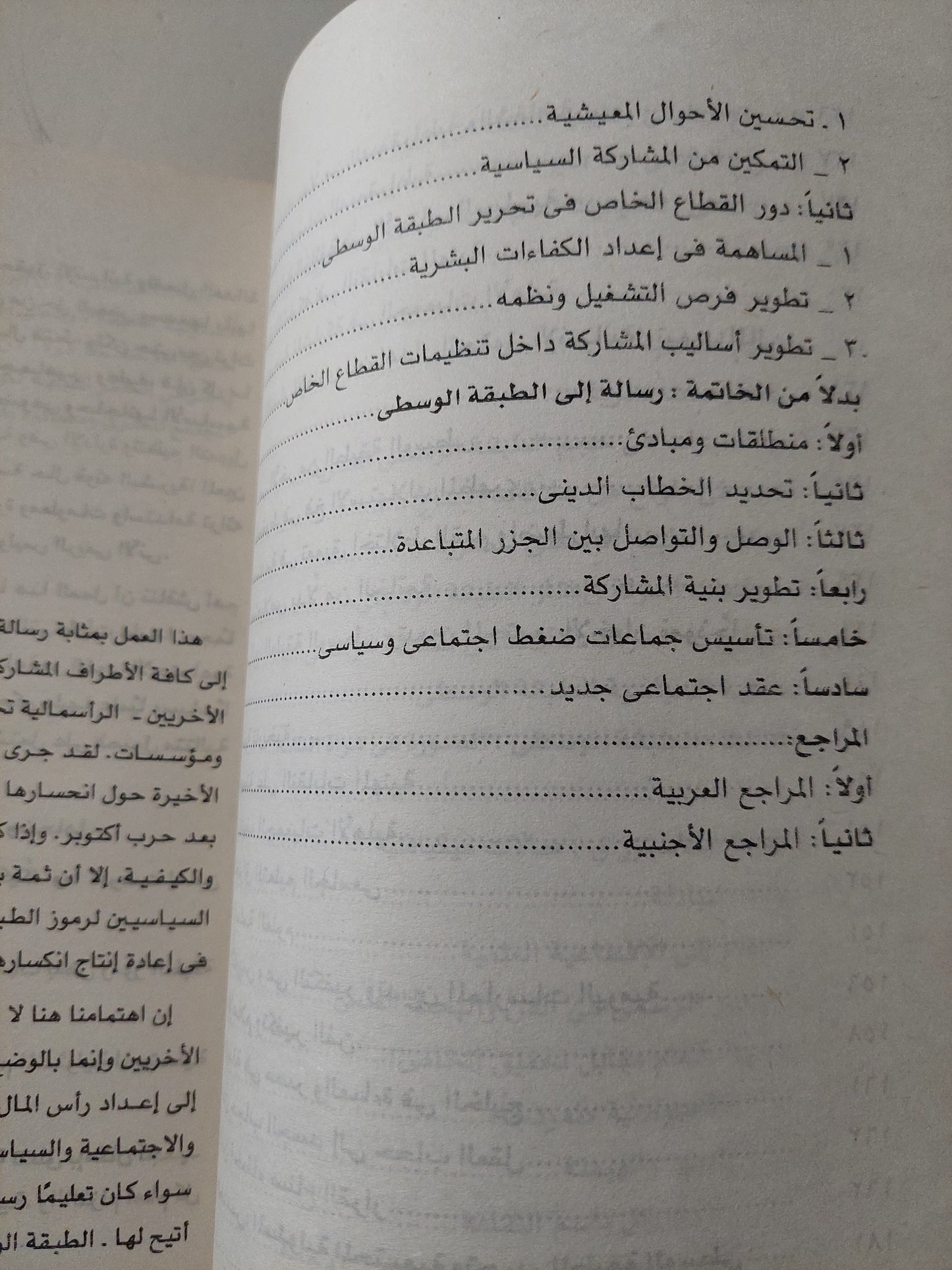 الطبقة الوسطى المصرية .. من التقصير إلى التحرير / عبد الباسط عبد المعطى