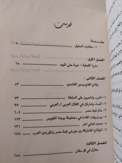 هوامش الفتح العربى لمصر .. حكايات الدخول  / سناء المصرى