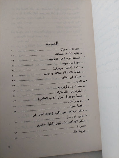 شاعر فى نيويورك / فيديريكو غارسيا لوركا