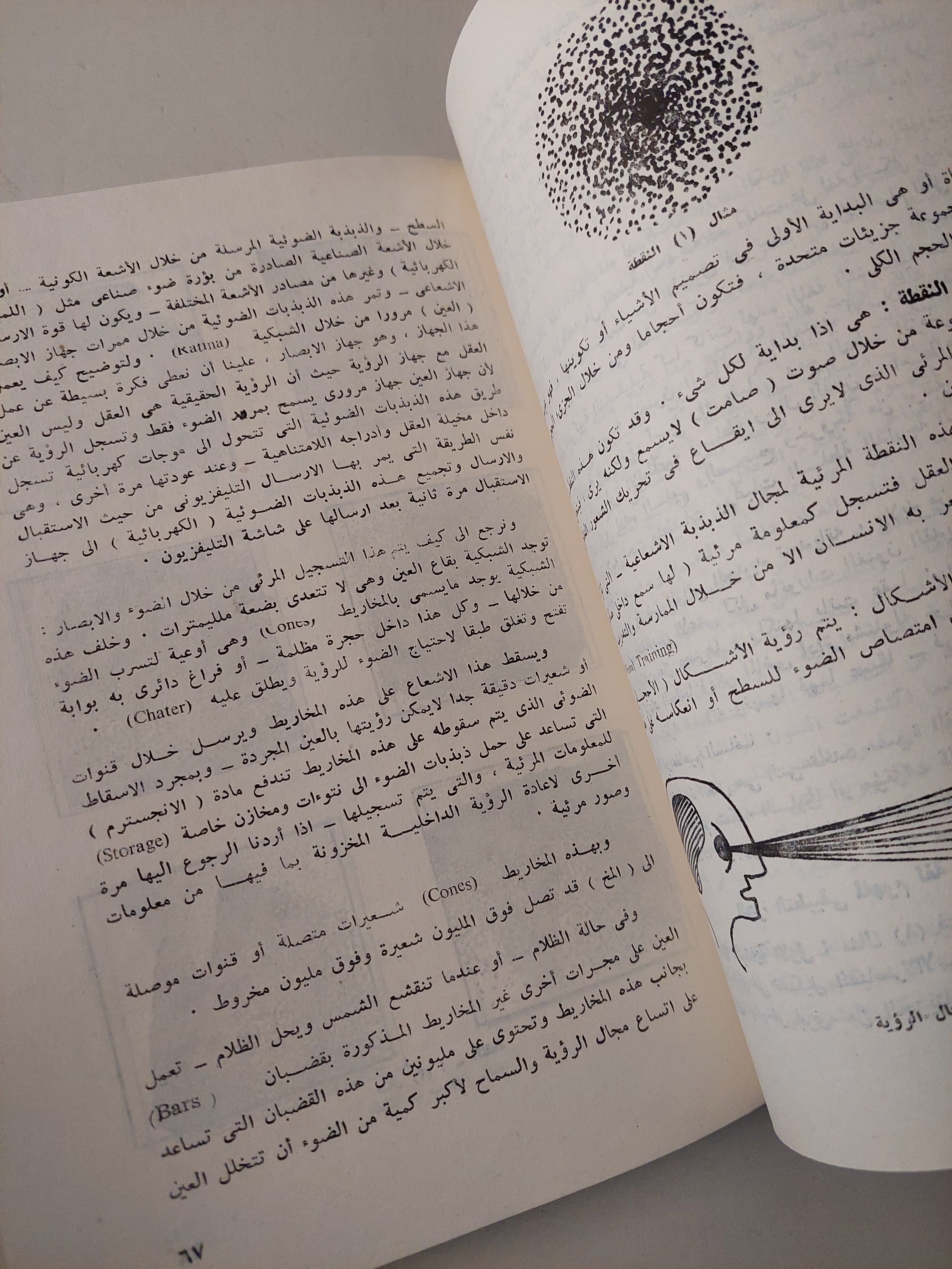 ملامح وقضايا في الفن التشكيلي المعاصر / صالح رضا - ملحق بالصور