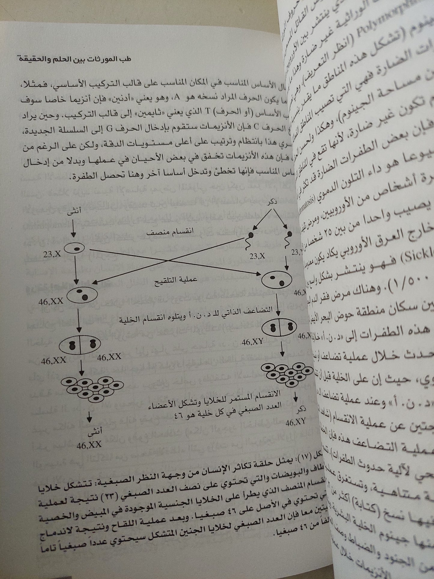 العصر الجينومى / موسى الخلف