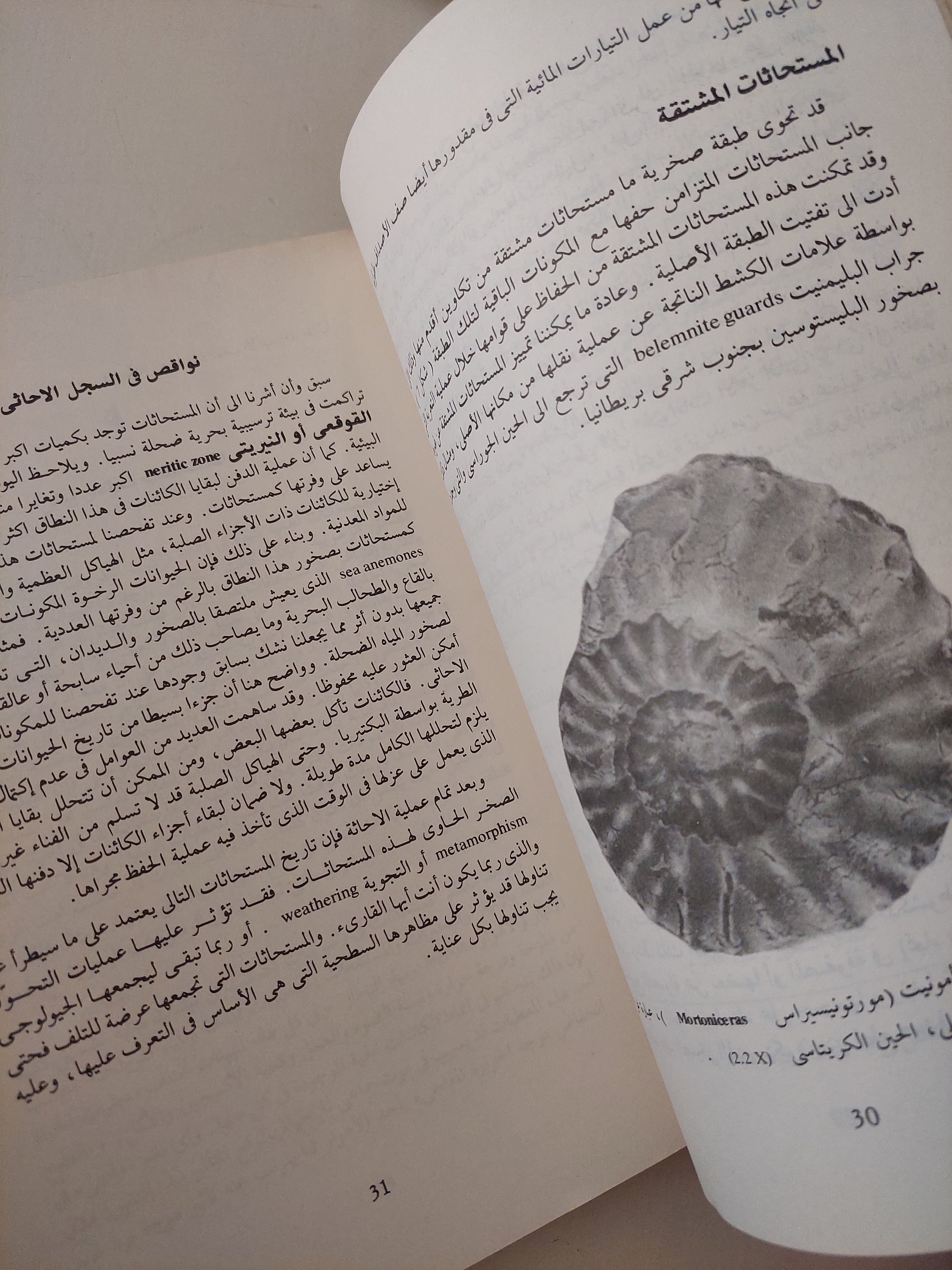مبادىء علم المستحاثات / روفا لاك - ملحق بالصور - متجر كتب مصرمتجر كتب مصر