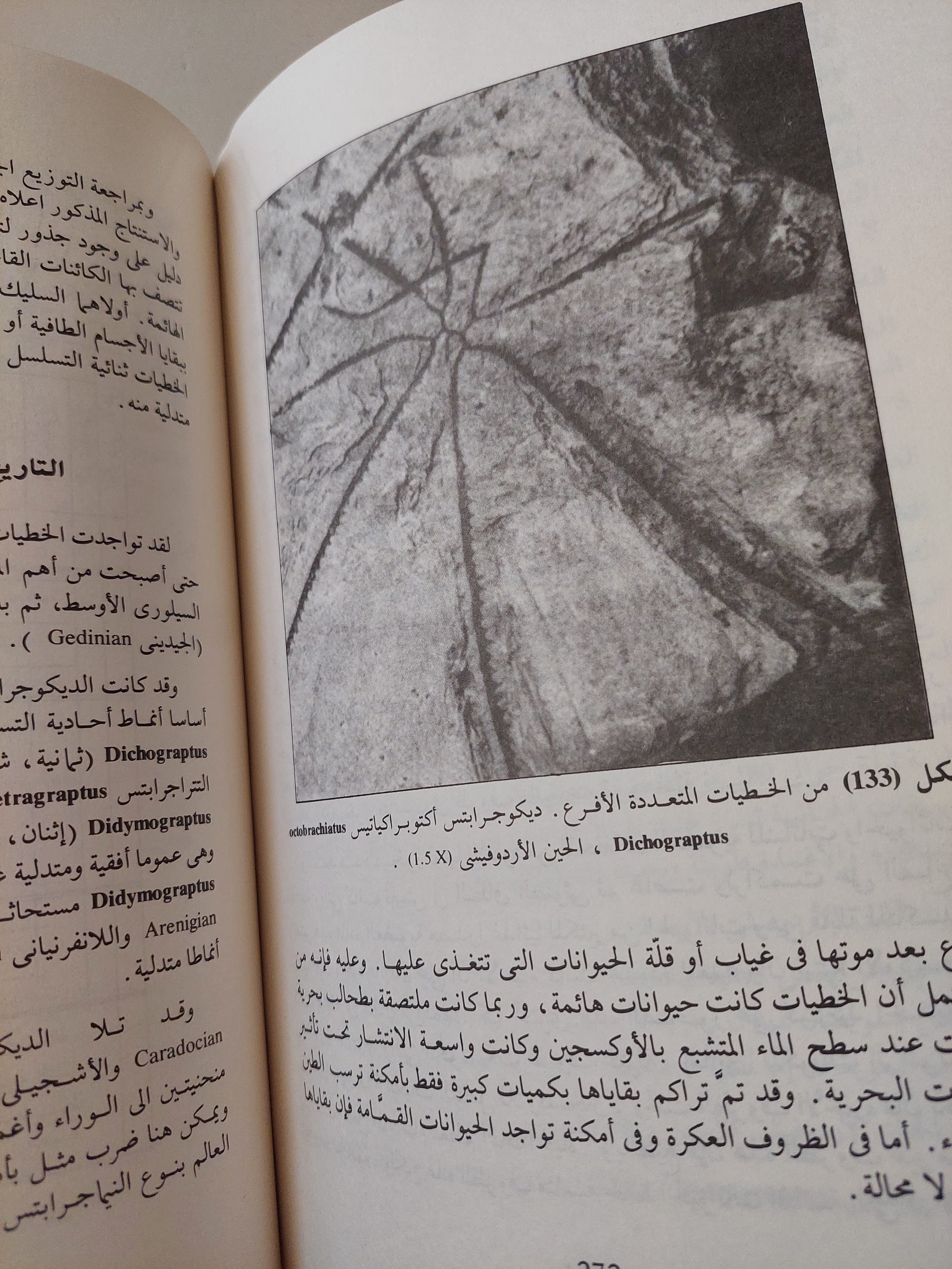 مبادىء علم المستحاثات / روفا لاك - ملحق بالصور - متجر كتب مصرمتجر كتب مصر