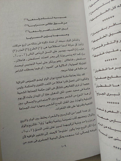 مساحات الإلتباس والوعى بالنص الشعبى / مسعود شومان