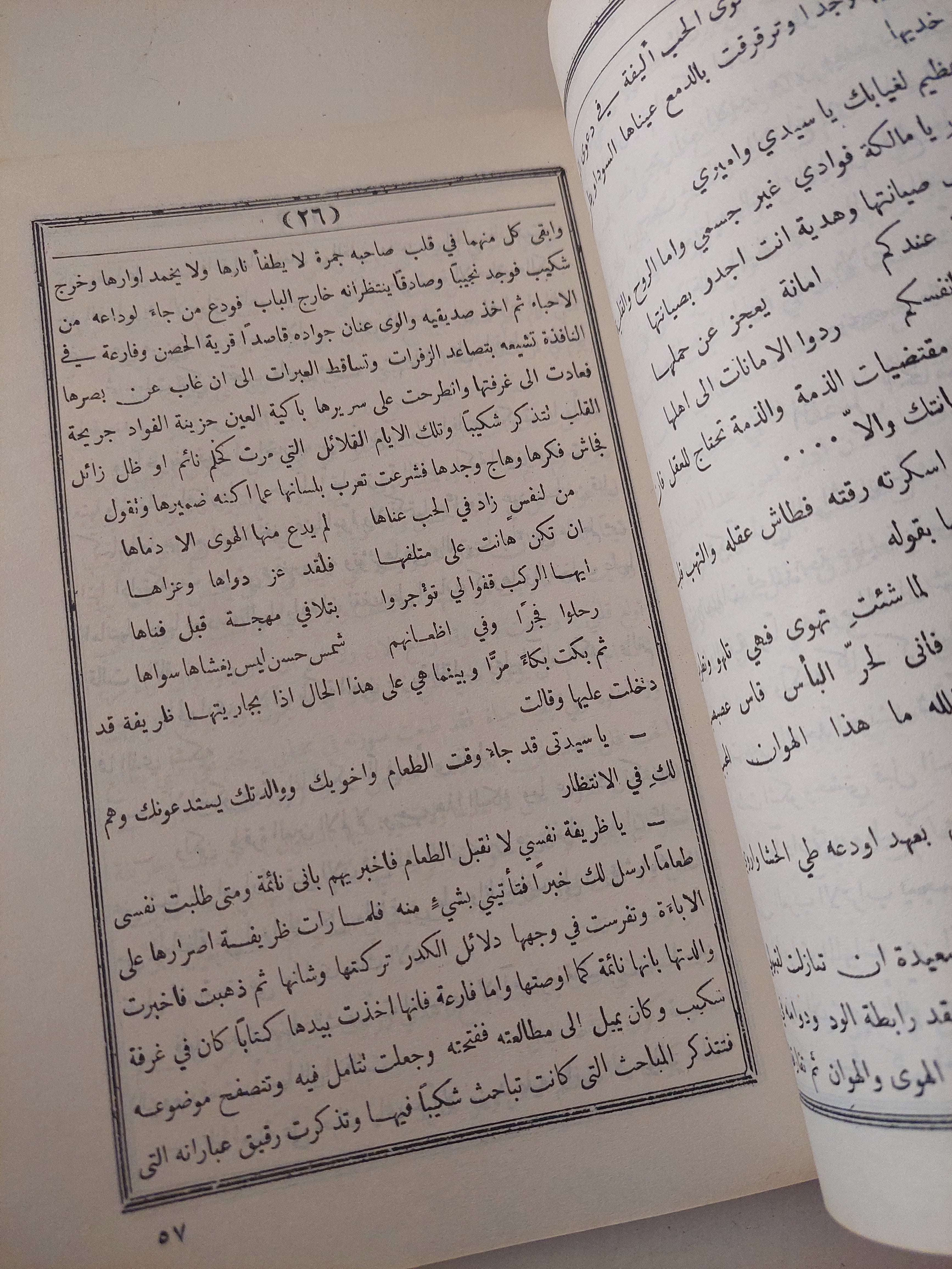 غادة الزاهرة / زينب فواز