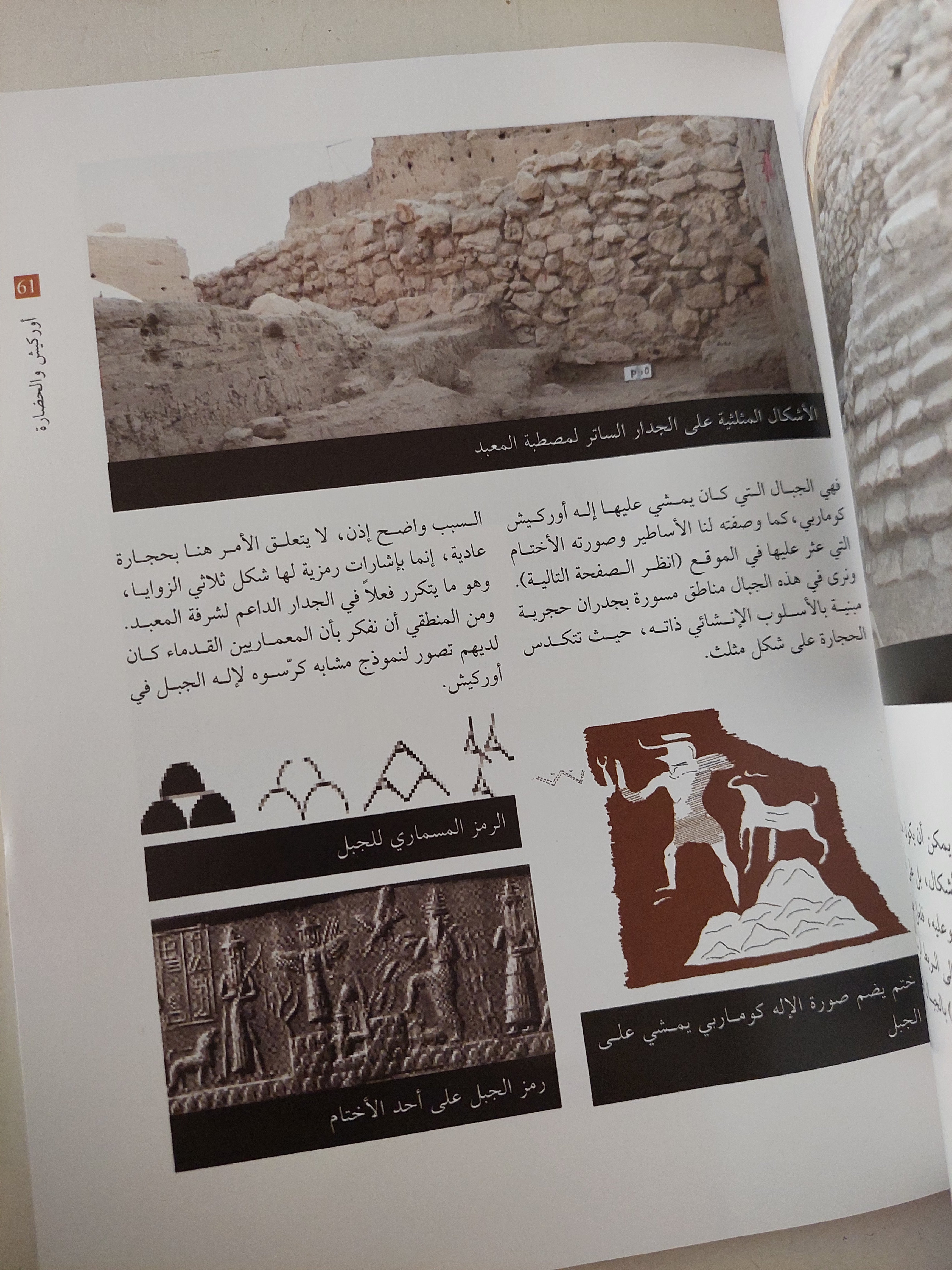 من عمق الزمان / جورجيو بوتشيللاتى - قطع كبير ملحق بالصور - متجر كتب مصرمتجر كتب مصر