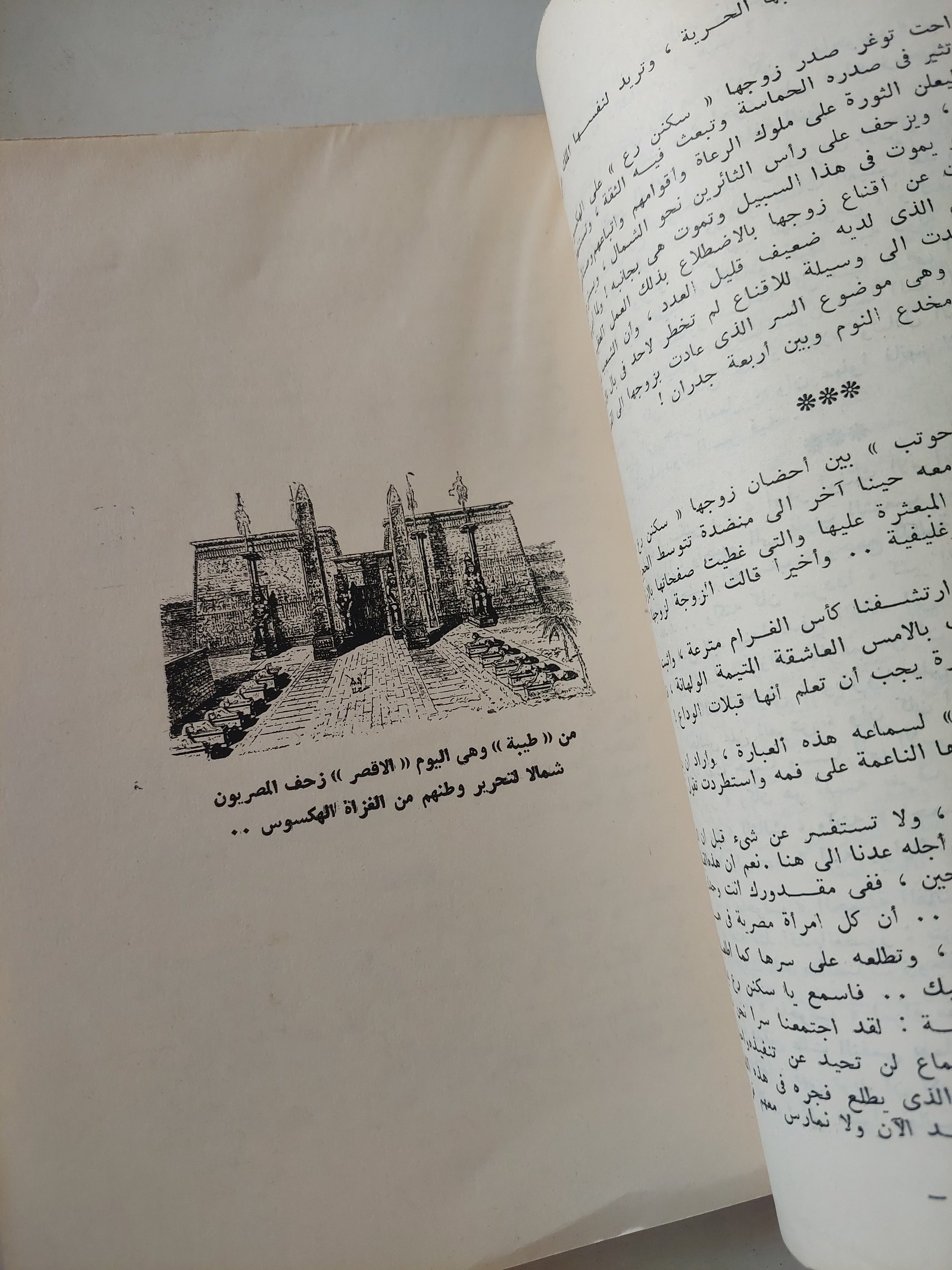مصر مقبرة الفاتحين / حبيب جاماتي - متجر كتب مصرمتجر كتب مصر