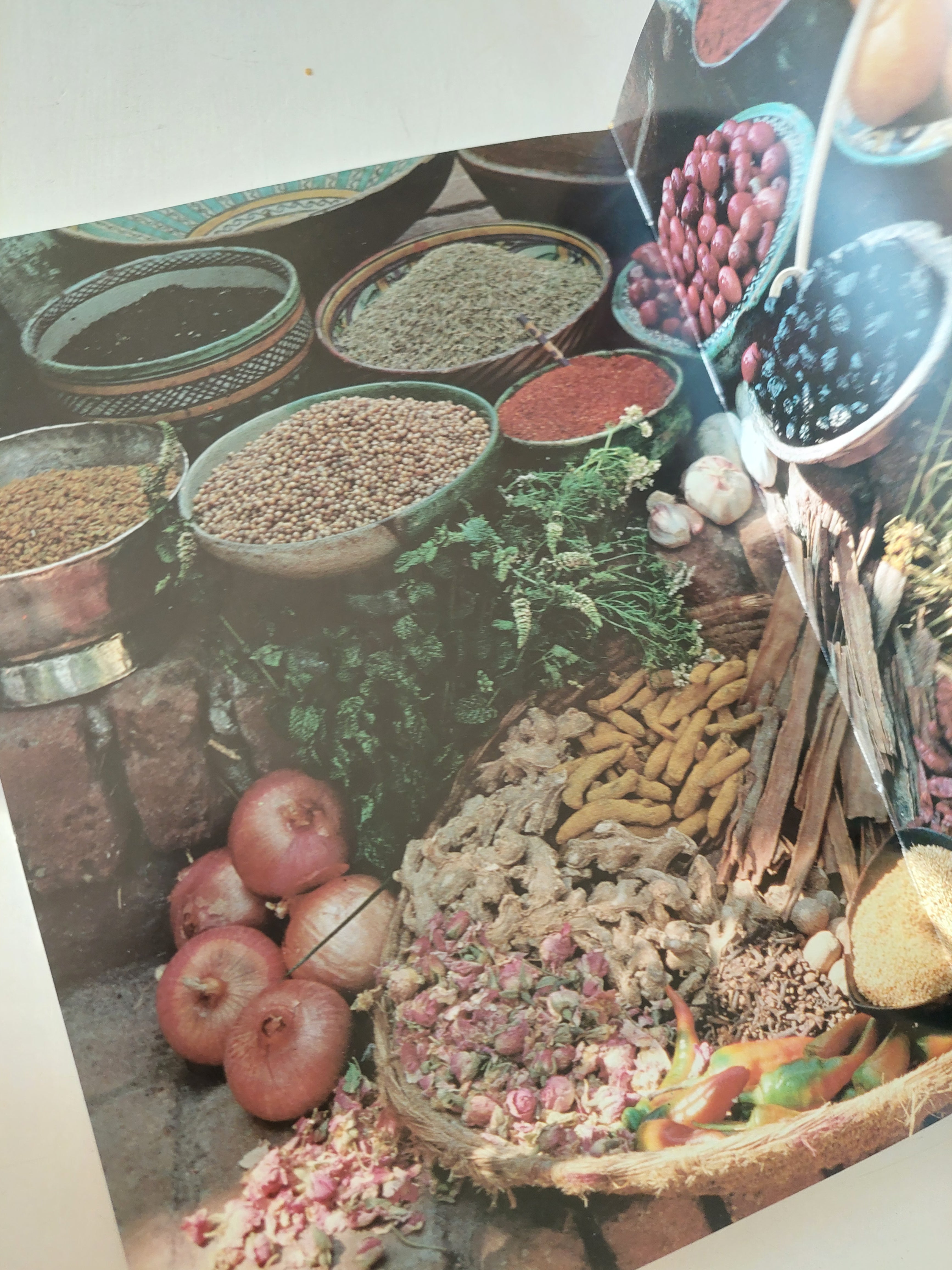 الطبخ المغربى المعاصر / فطومة سكيران - قطع كبير ملحق بالصور/ هارد كفر ( ورق كوشيه ) - متجر كتب مصرمتجر كتب مصر