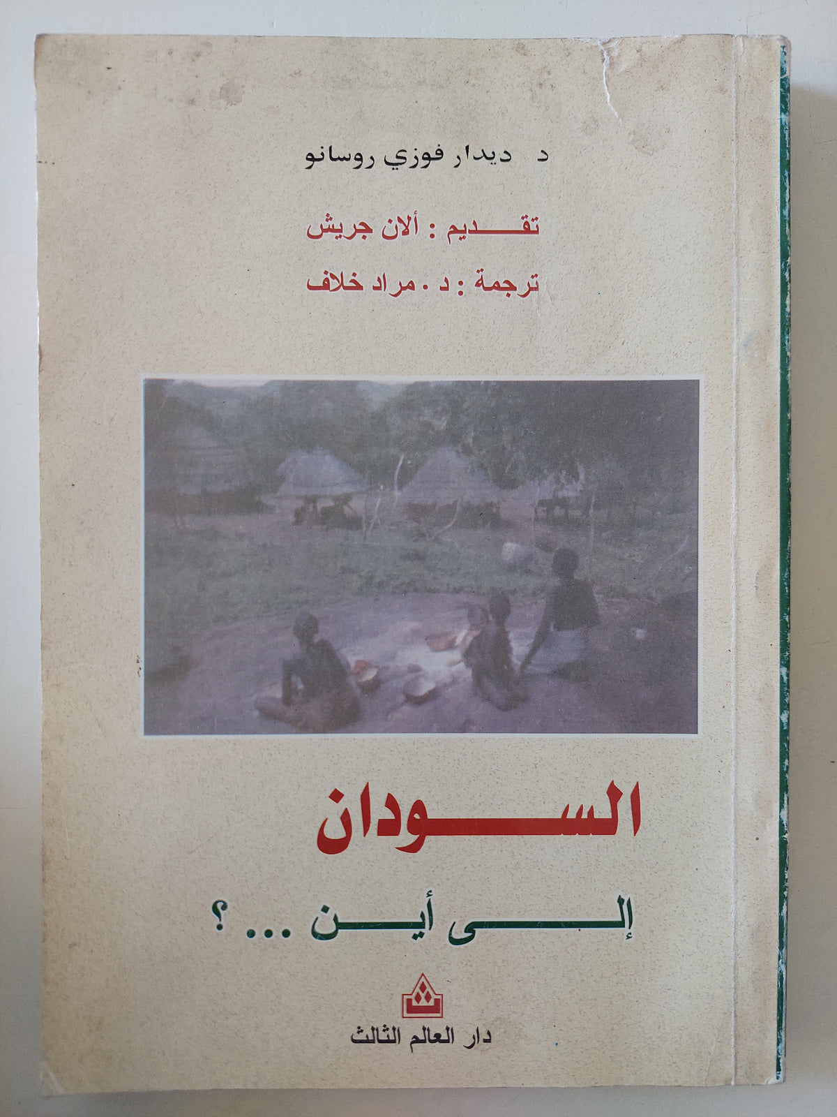 السودان الى أين ؟ / ديدار فوزى روسانو