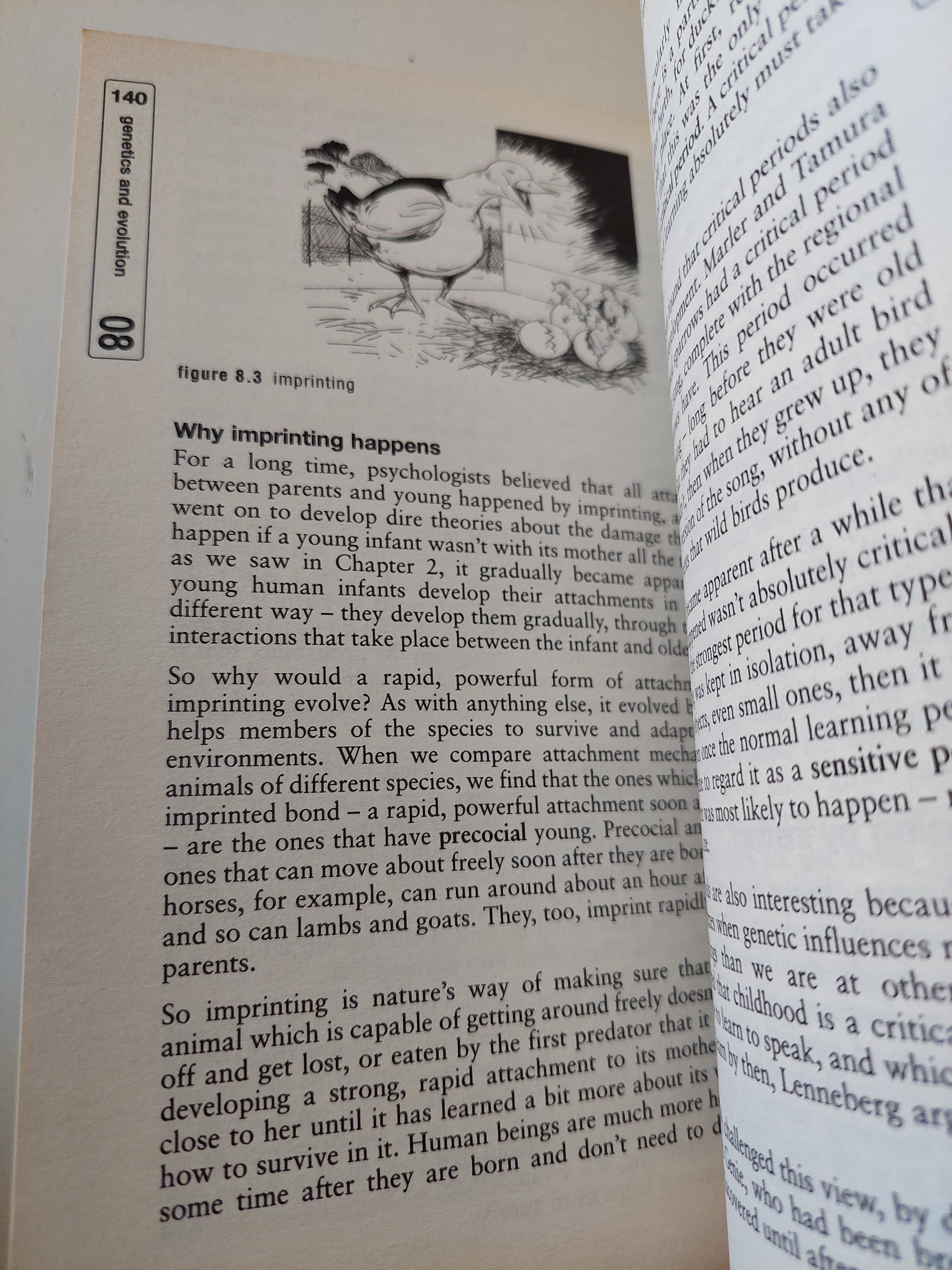 Psychology .. fundamental understanding - متجر كتب مصرمتجر كتب مصر
