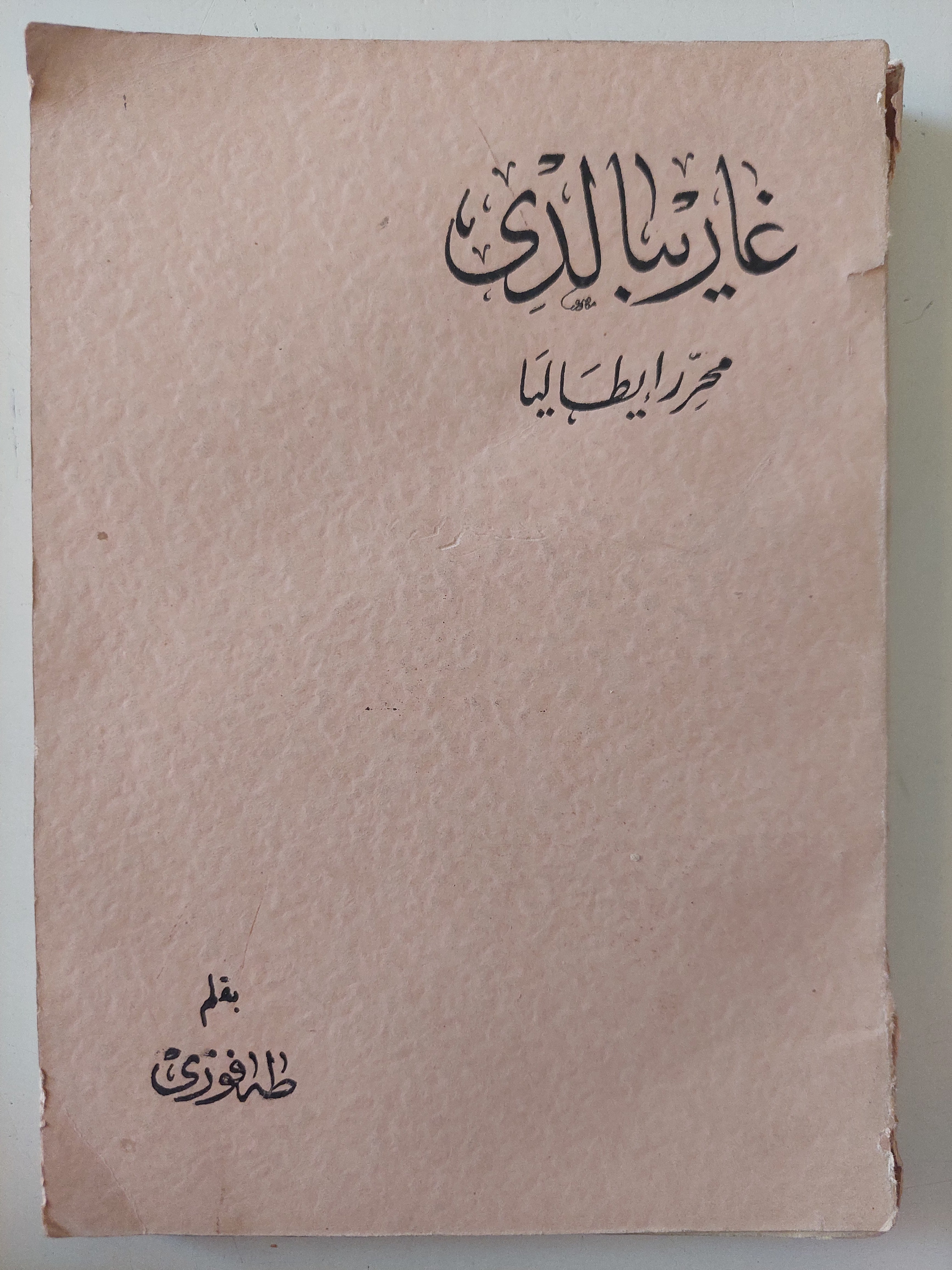 غاريبالدى محرر إيطاليا / طه فوزى