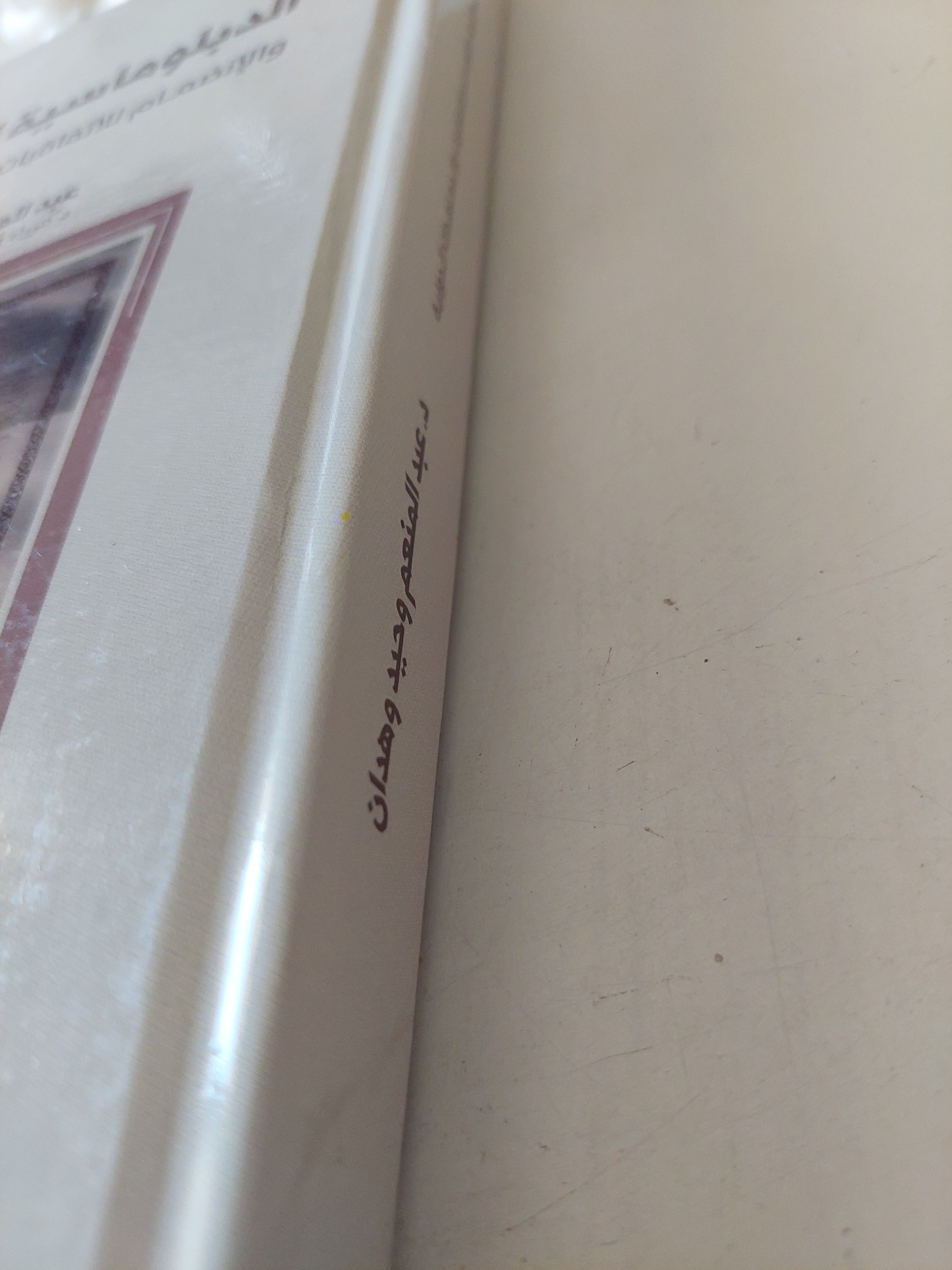 الدبلوماسية الفلسطينية والإنضمام للإتفاقيات والمعاهدات الدولية / عبد المنعم وحيد وهدان - هارد كفر ملحق بالصور - متجر كتب مصرمتجر كتب مصر