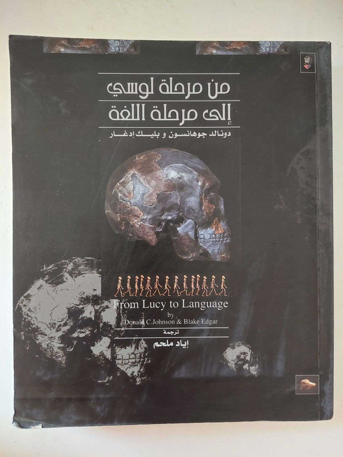من مرحلة لوسي الى مرحلة اللغة / دونالد جوهانسون وبيليك إدغار - قطع كبير ملحق بالصور