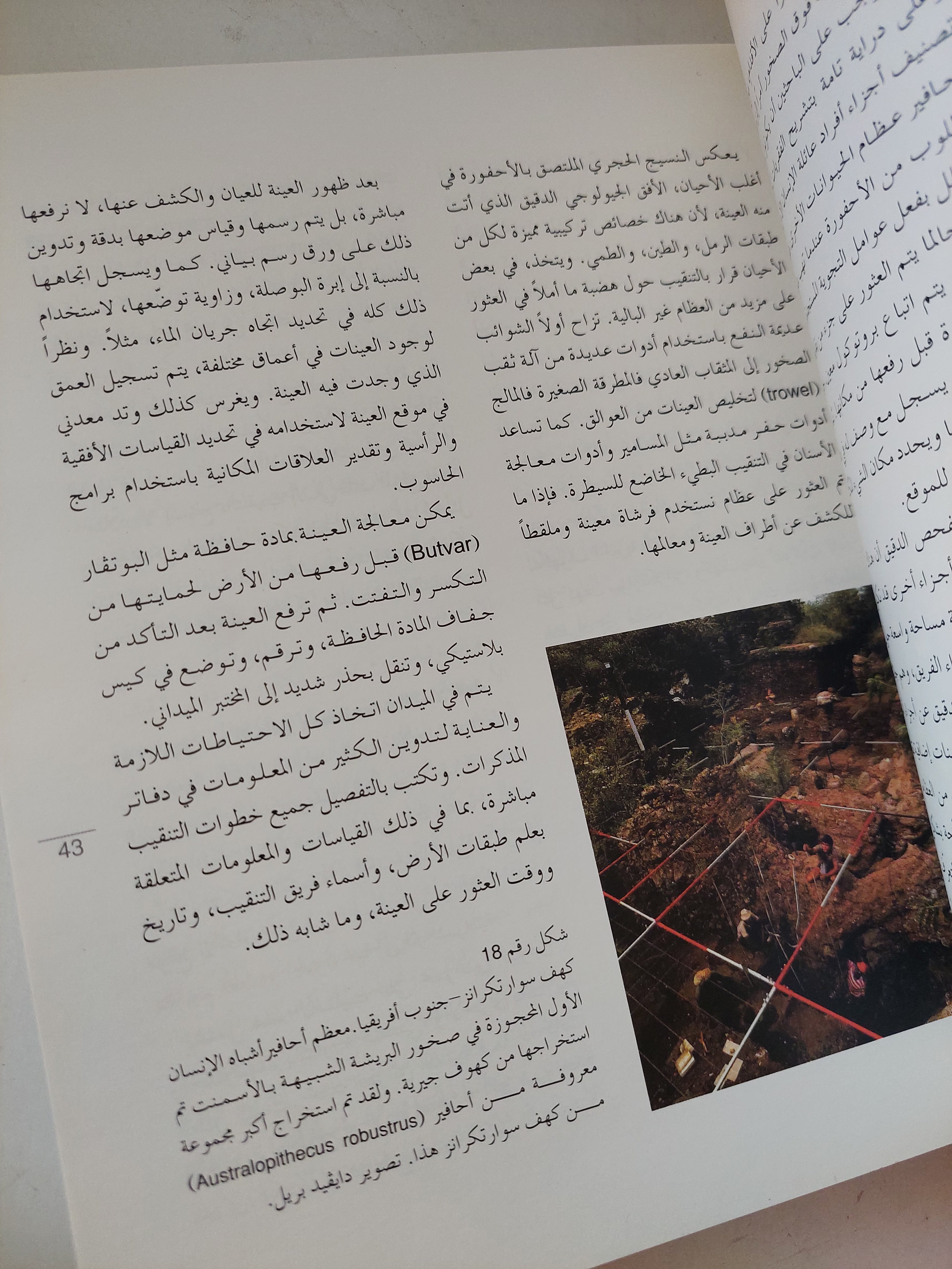من مرحلة لوسي الى مرحلة اللغة / دونالد جوهانسون وبيليك إدغار - قطع كبير ملحق بالصور