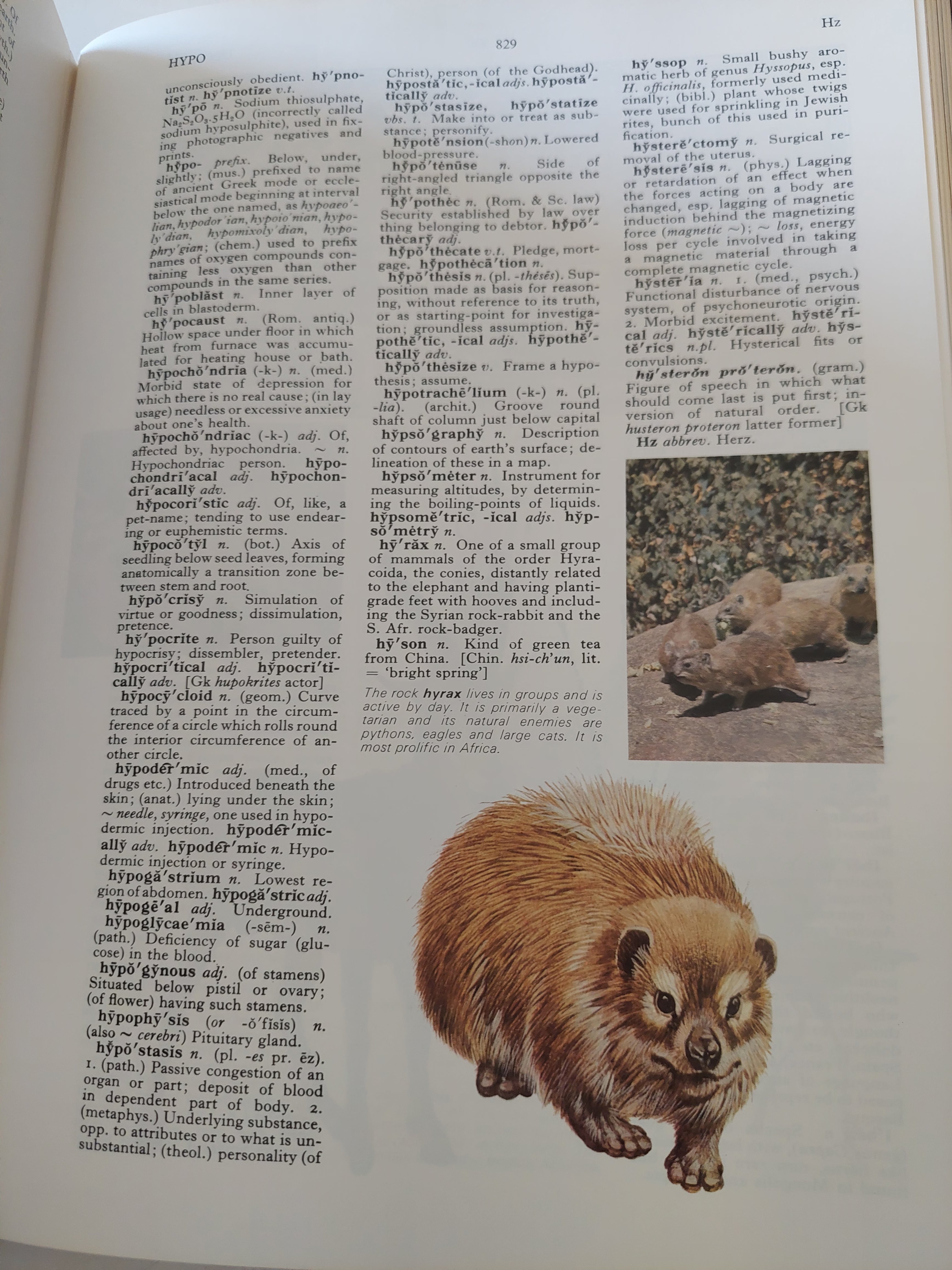 The Oxford illustrated dictionary - قطع كبير ملحق بالصور/ جزئين هارد كفر - متجر كتب مصرمتجر كتب مصر