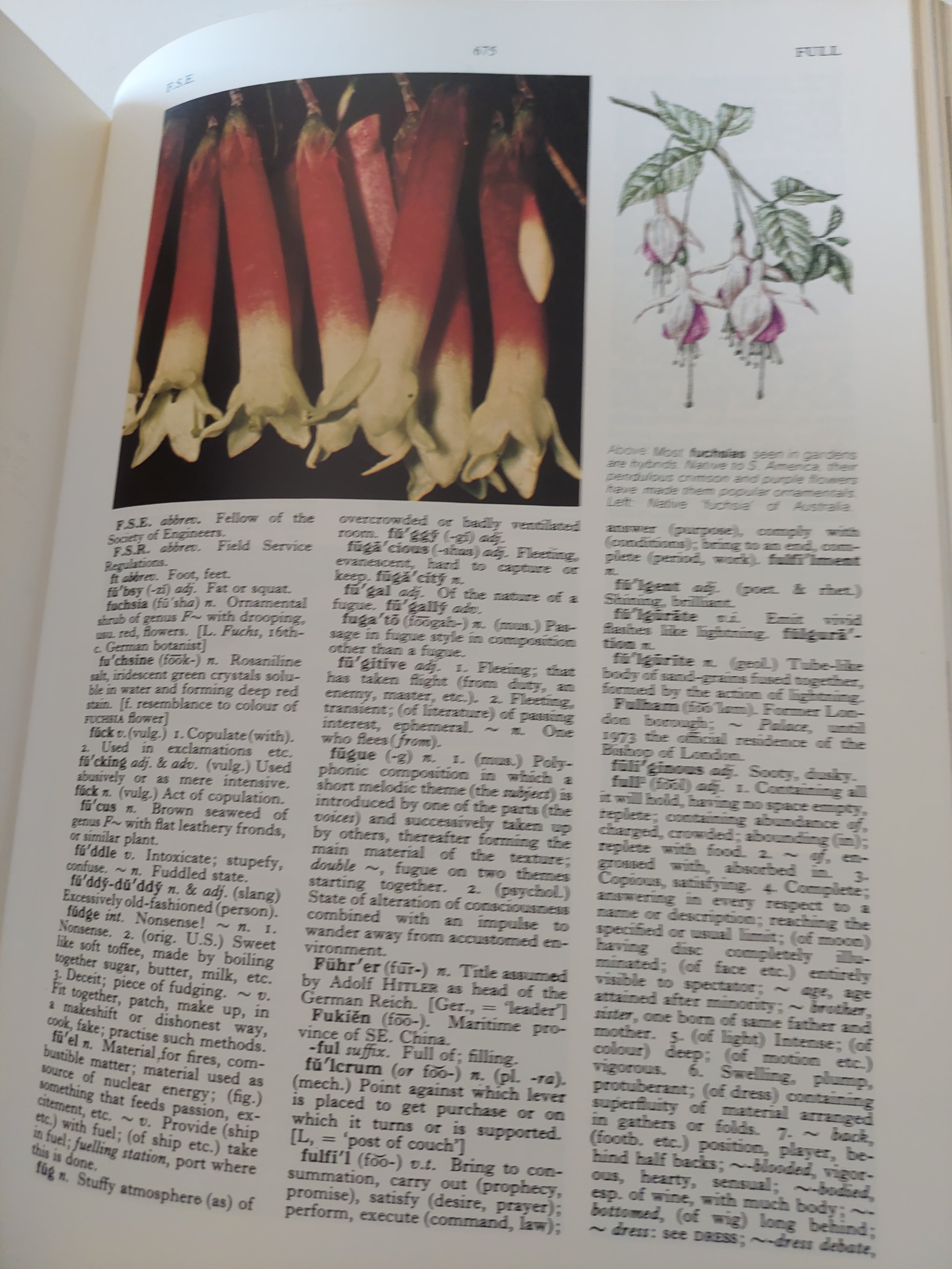 The Oxford illustrated dictionary - قطع كبير ملحق بالصور/ جزئين هارد كفر - متجر كتب مصرمتجر كتب مصر