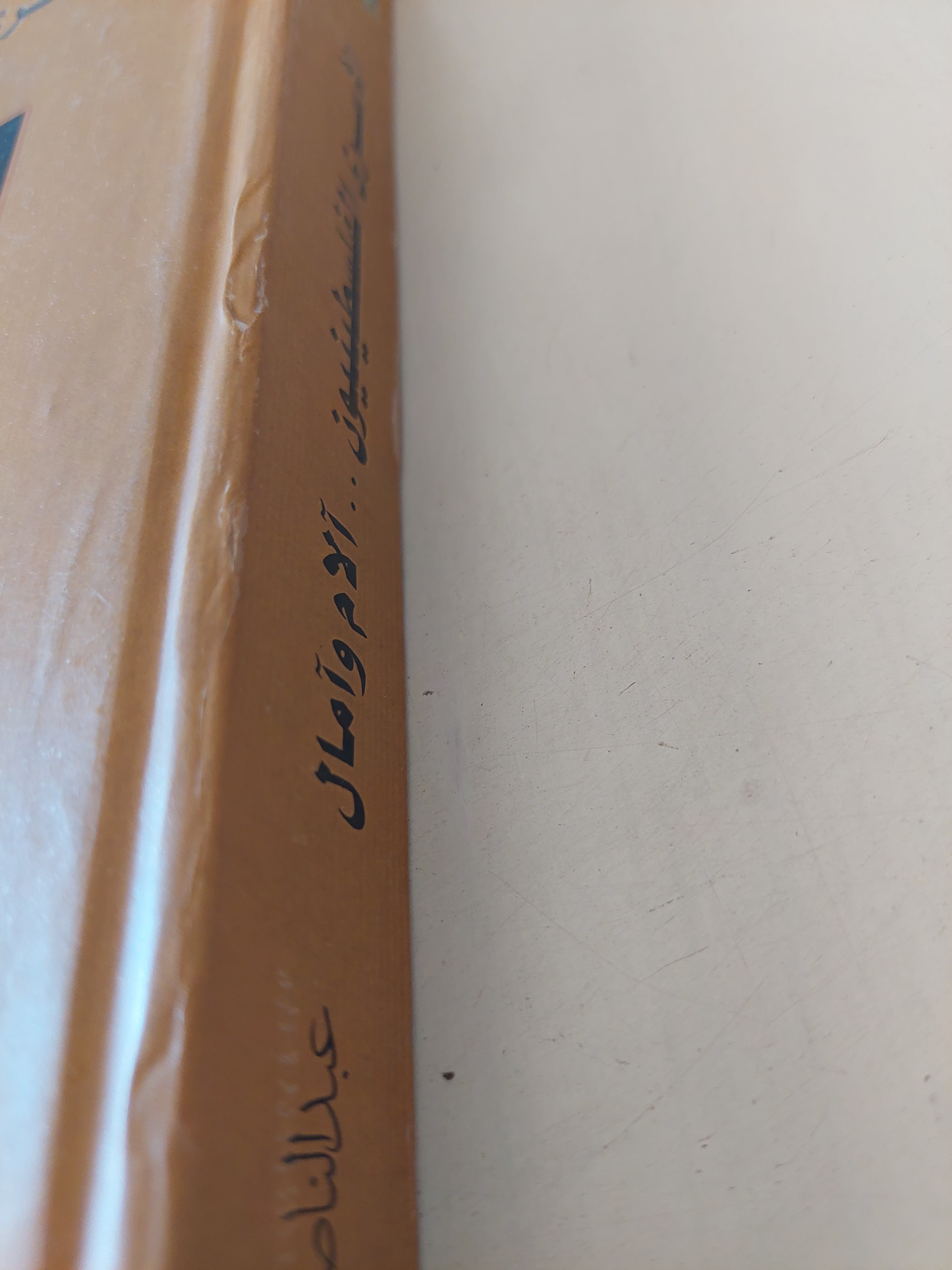 الأسرى الفلسطينيون .. الام وامال / عبد الناصر عونى فراوية - هارد كفر ملحق بالصور - متجر كتب مصرمتجر كتب مصر