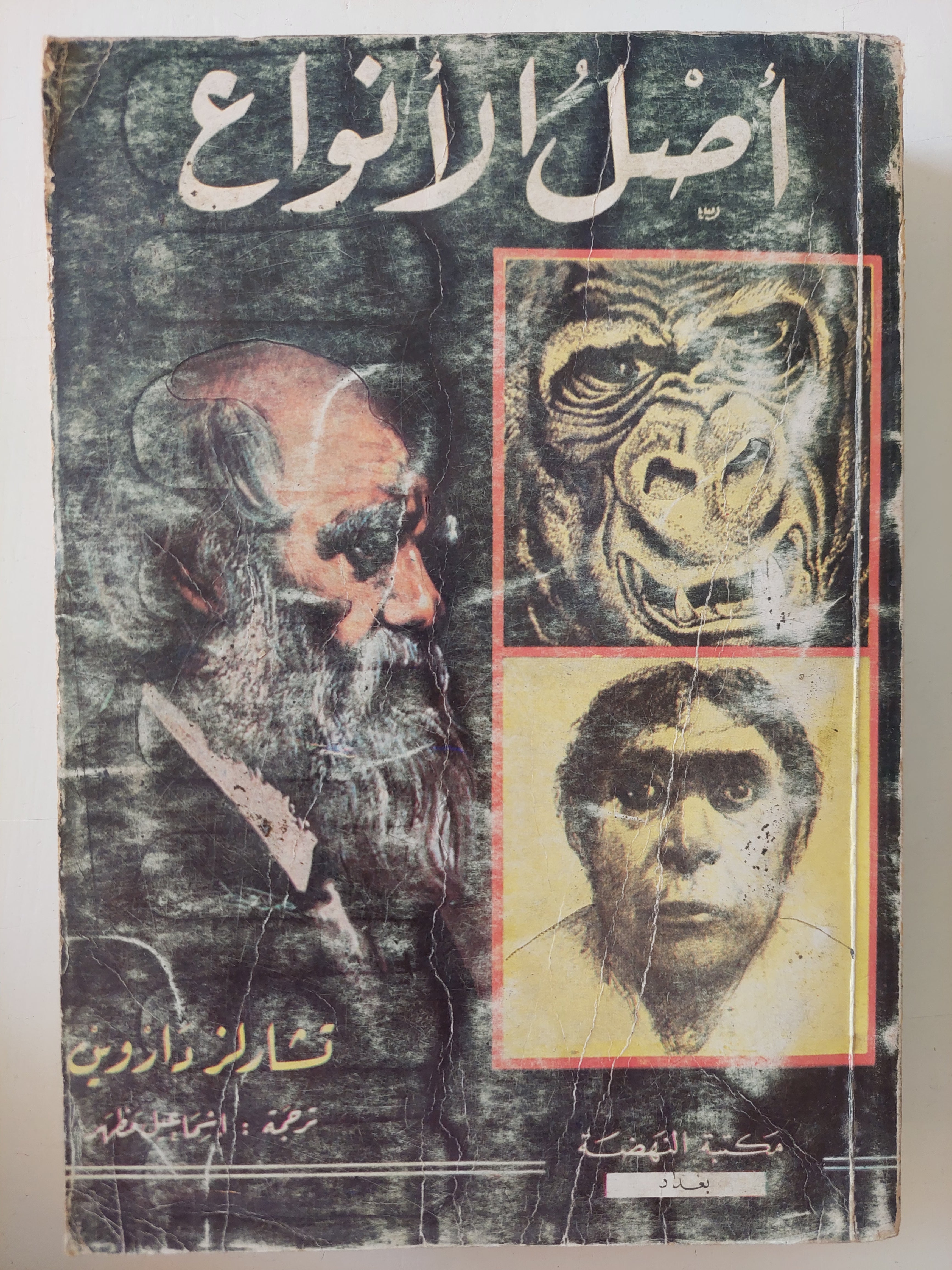 أصل الأنواع / تشارلز داروين - متجر كتب مصرمتجر كتب مصر