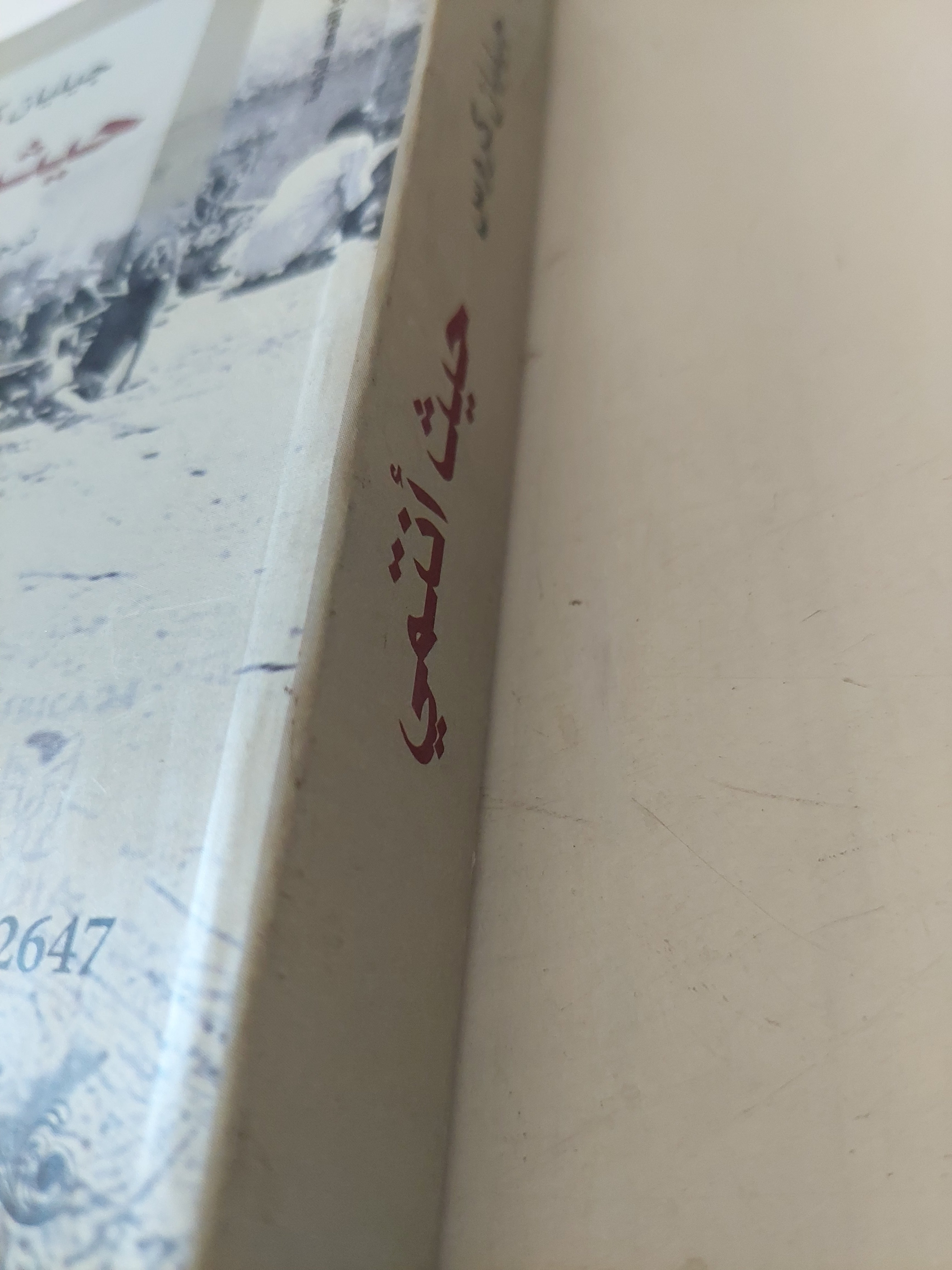 حيث أنتمى / جيليان كروس - متجر كتب مصرمتجر كتب مصر