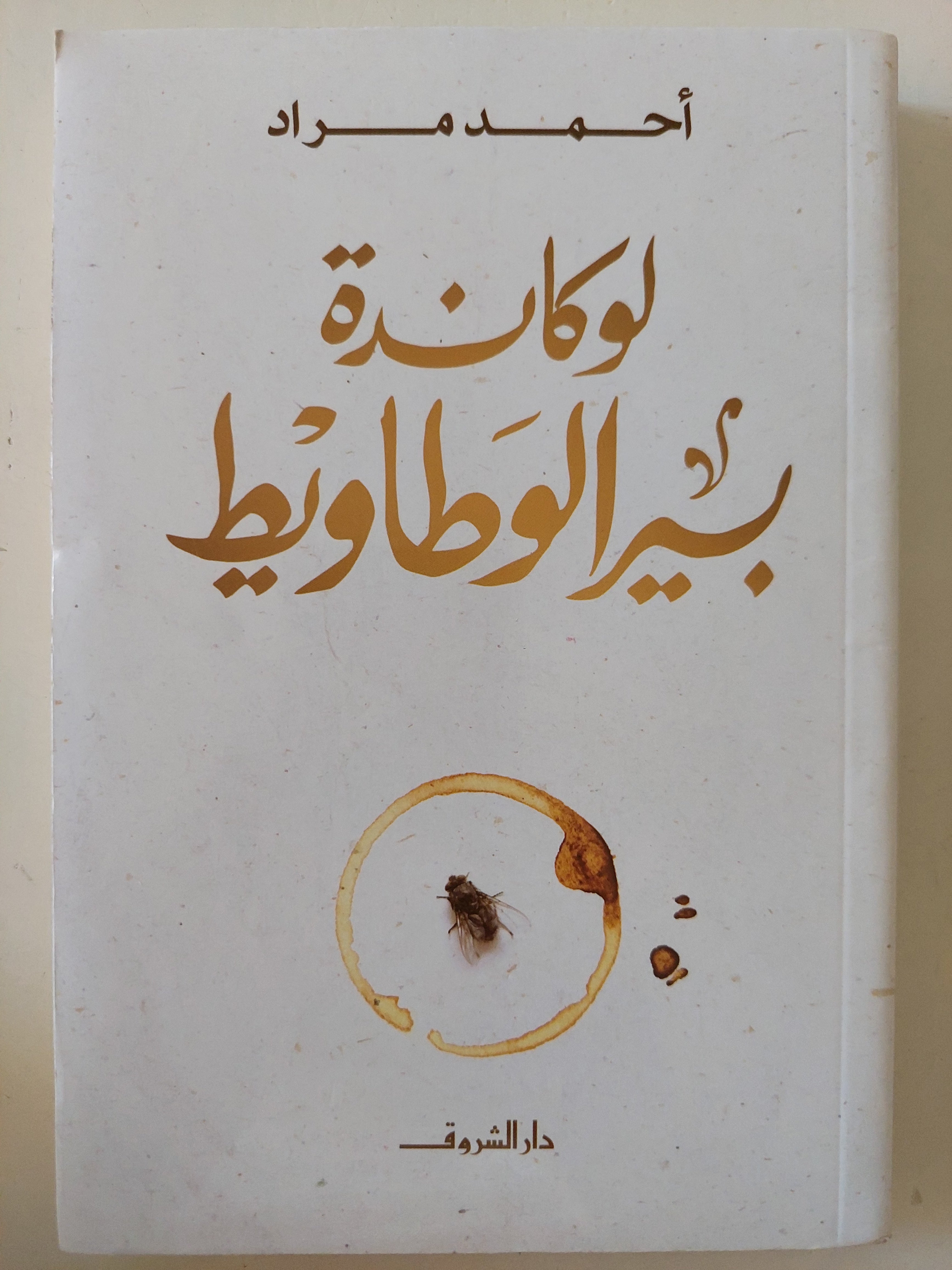 لوكاندة بير الوطاويط / أحمد مراد