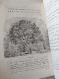مصر الخالدة