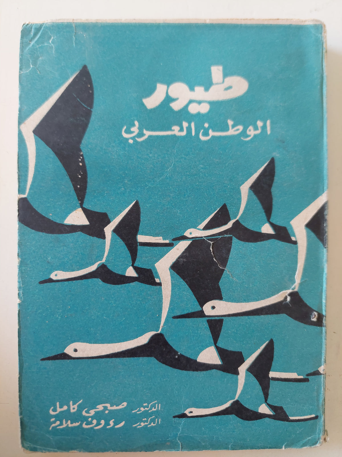 طيور الوطن العربي / صبحي كامل ورؤوف سلامة