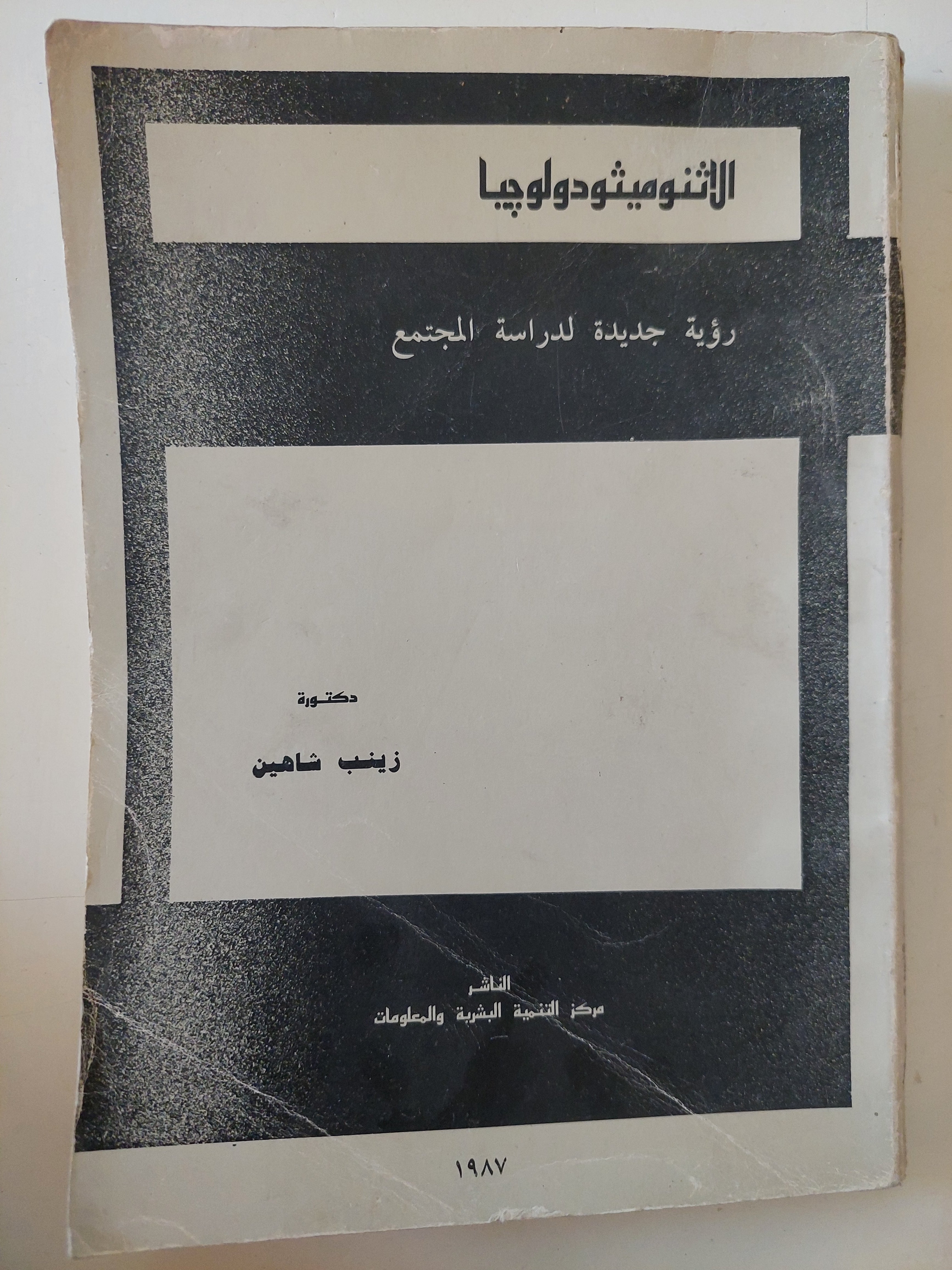 الأثنوميثودولوجيا .. رؤية جديدة لدراسة المجتمع / زينب شاهين