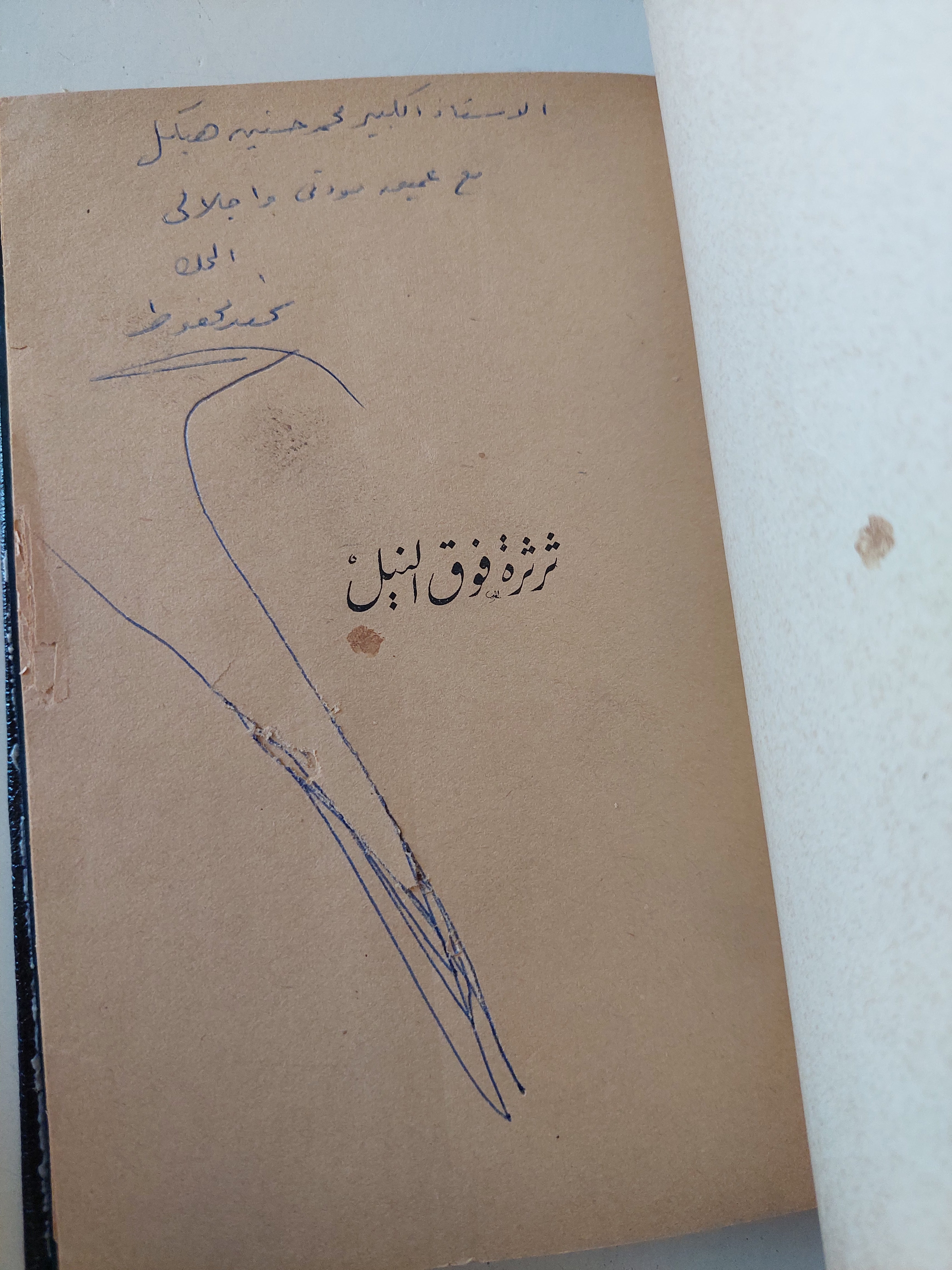 ثرثرة فوق النيل / نجيب محفوظ