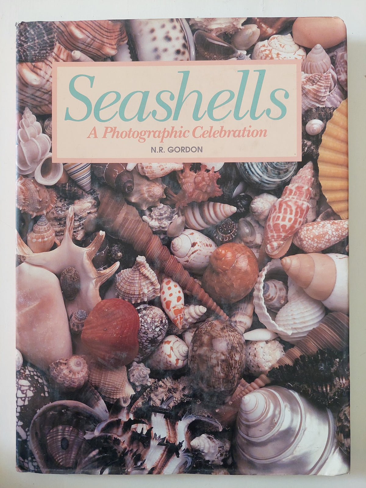 Seashells
