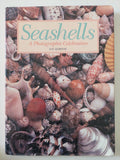 Seashells