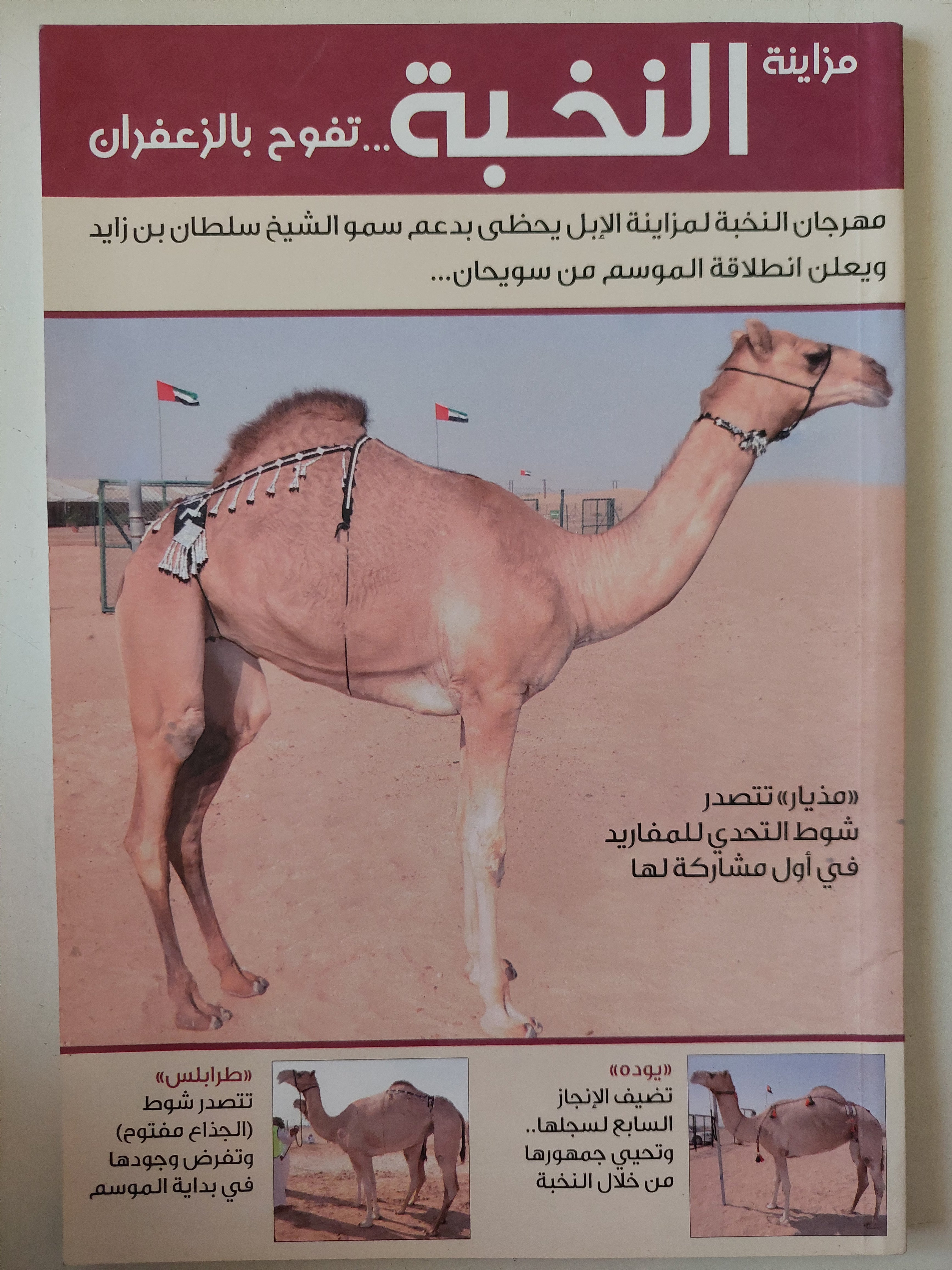 مجلة مزاينة النخبة تفوح بالزعفران