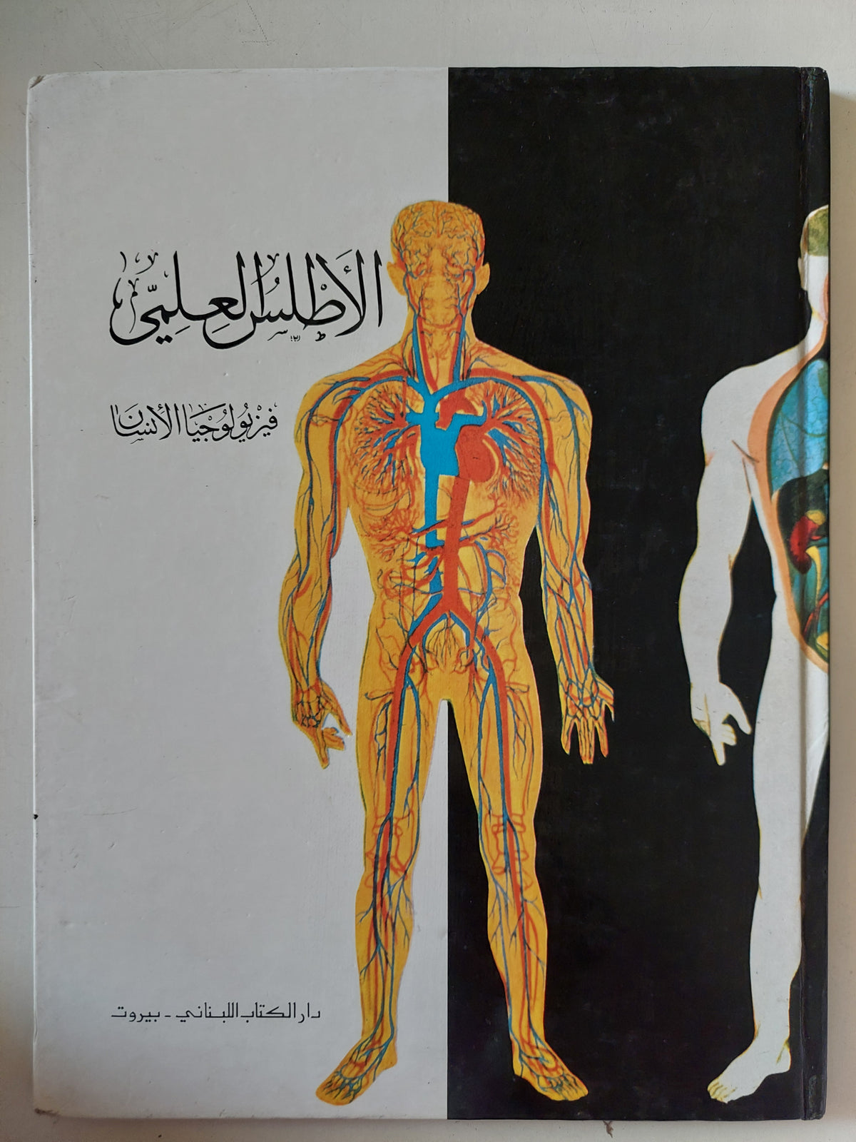 الأطلس العلمى .. فيزيولوجيا الإنسان