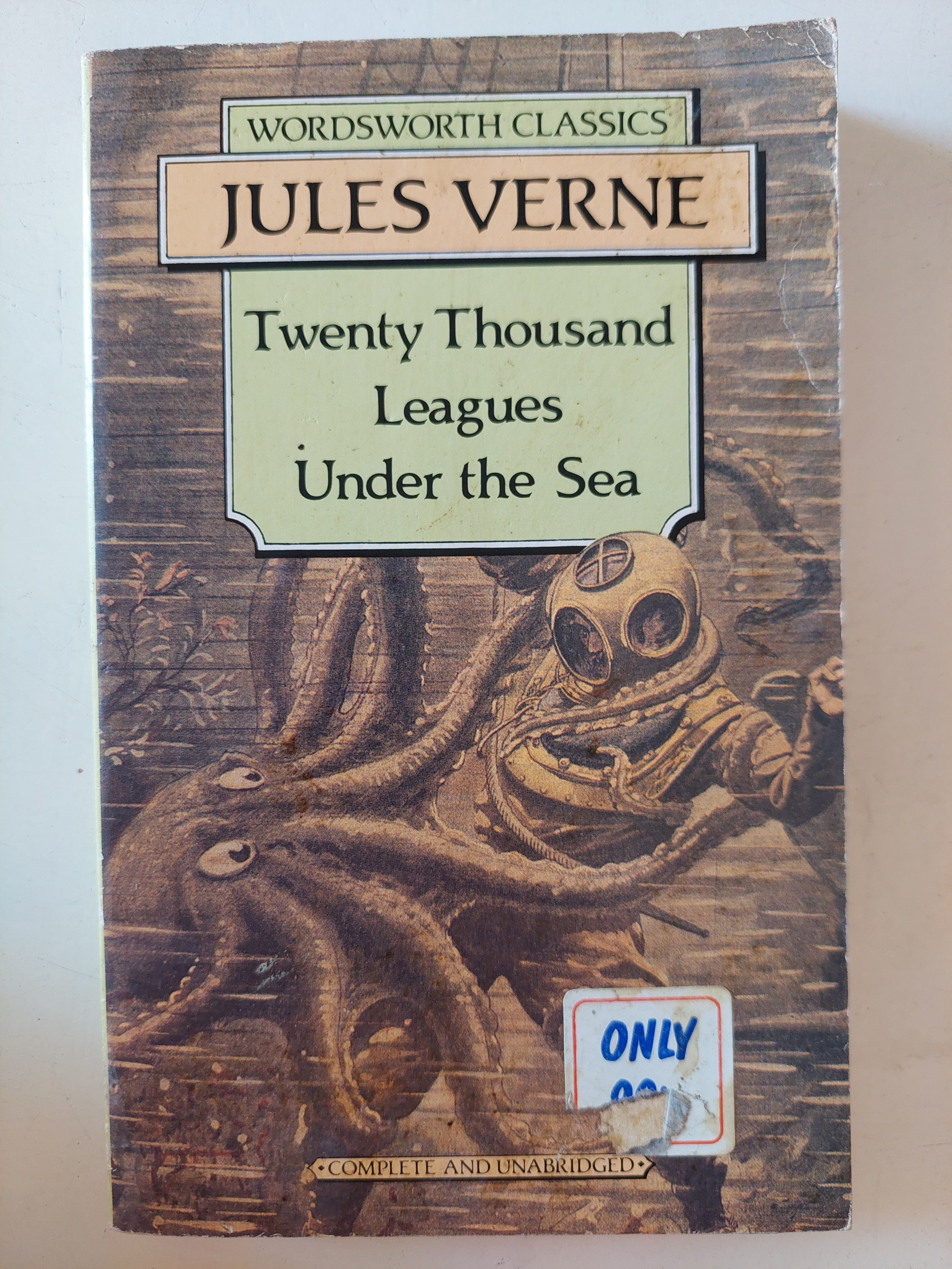 Twenty thousand leagues under the sea / Jules Verne