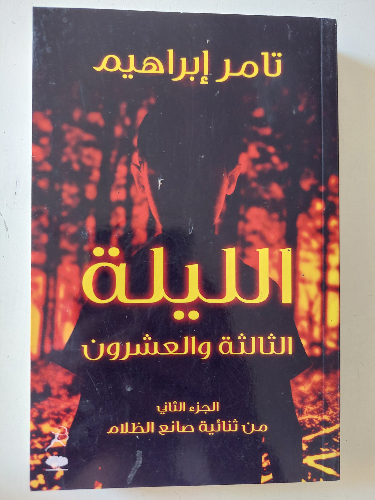 الليلة الثالثة والعشرون / تامر إبراهيم