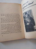 يوميات دبلوماسى فى بلاد العرب .. حقبة غامضة من التاريخ المصرى / نيكولاى نوفيكوف وفلاديمير فينوجرادوف